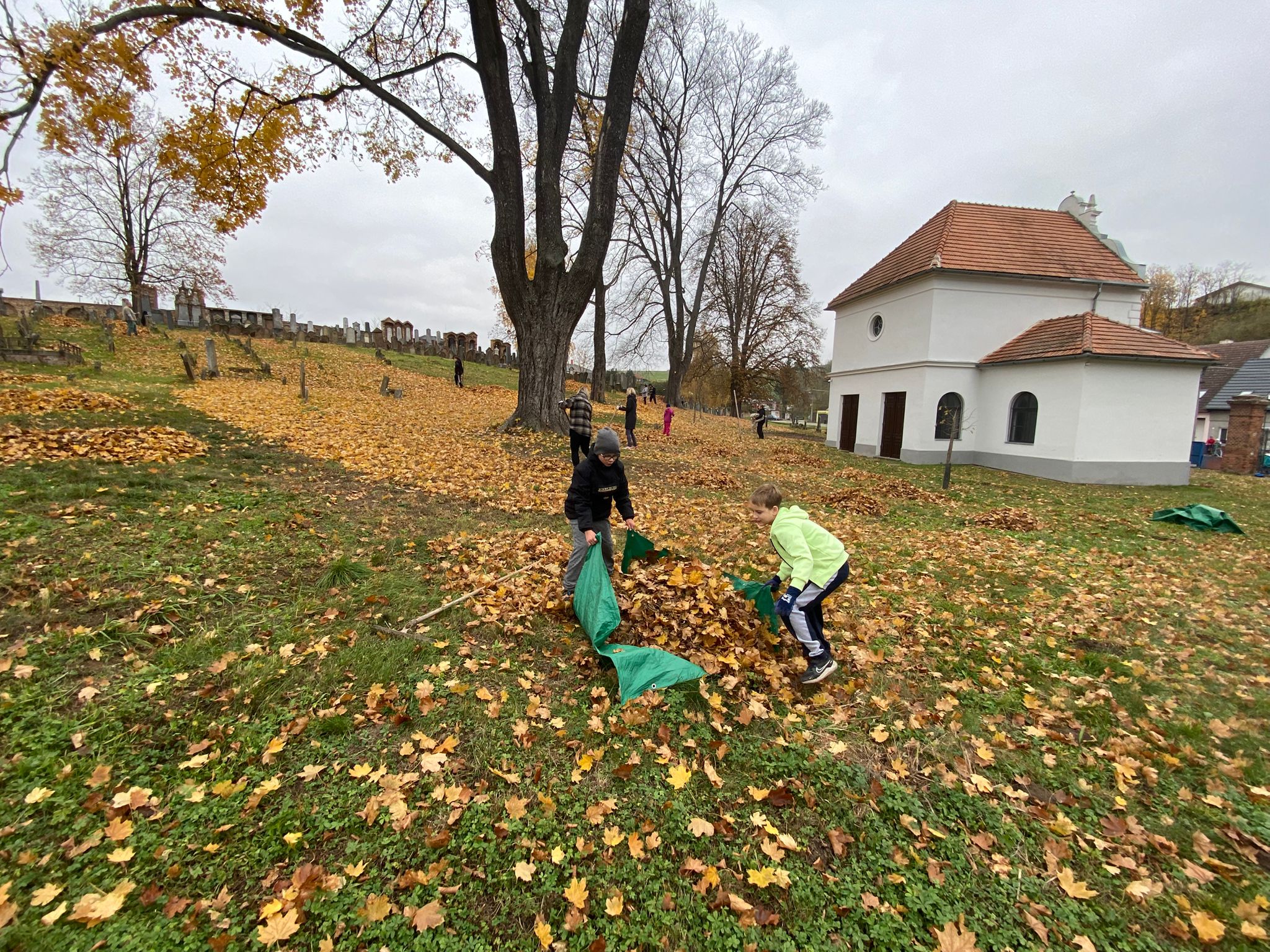 [2025-11-01]_uklid_zidovskeho_hrbitova_0079