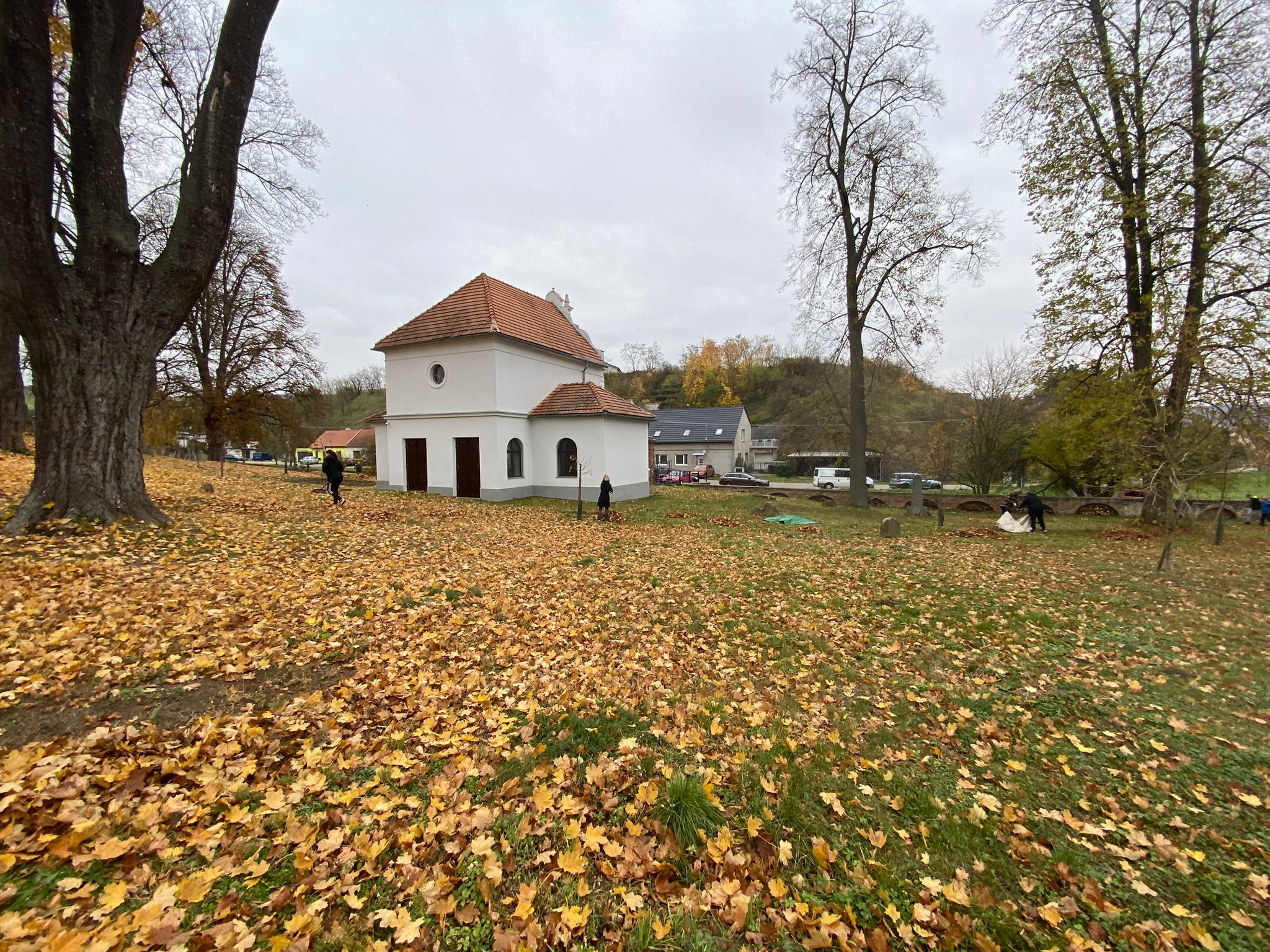 [2025-11-01]_uklid_zidovskeho_hrbitova_0081