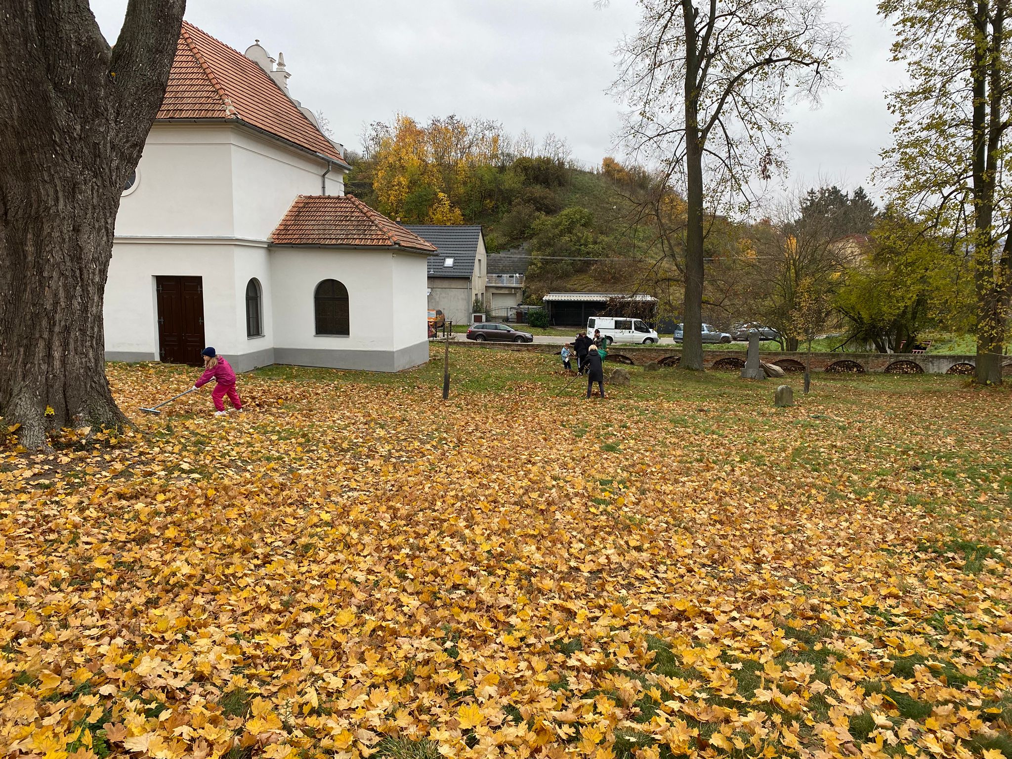 [2025-11-01]_uklid_zidovskeho_hrbitova_0084