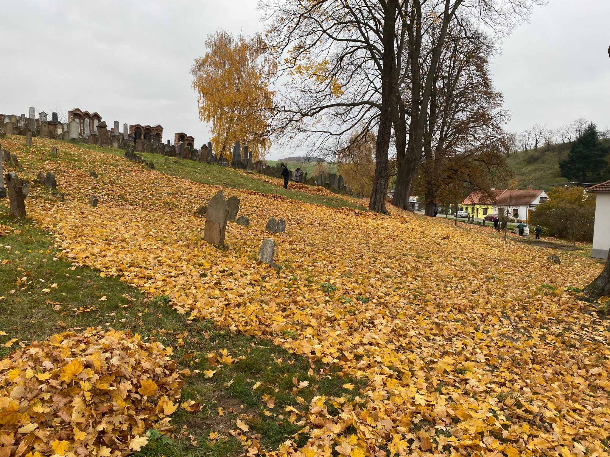 [2025-11-01]_uklid_zidovskeho_hrbitova_0085