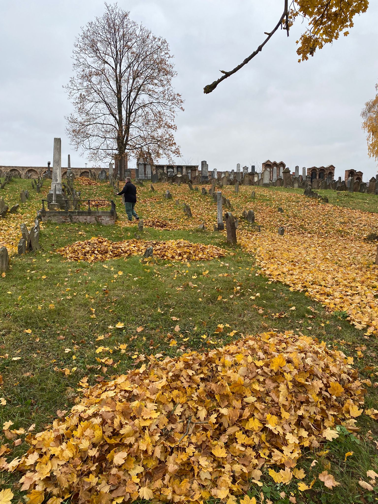 [2025-11-01]_uklid_zidovskeho_hrbitova_0086