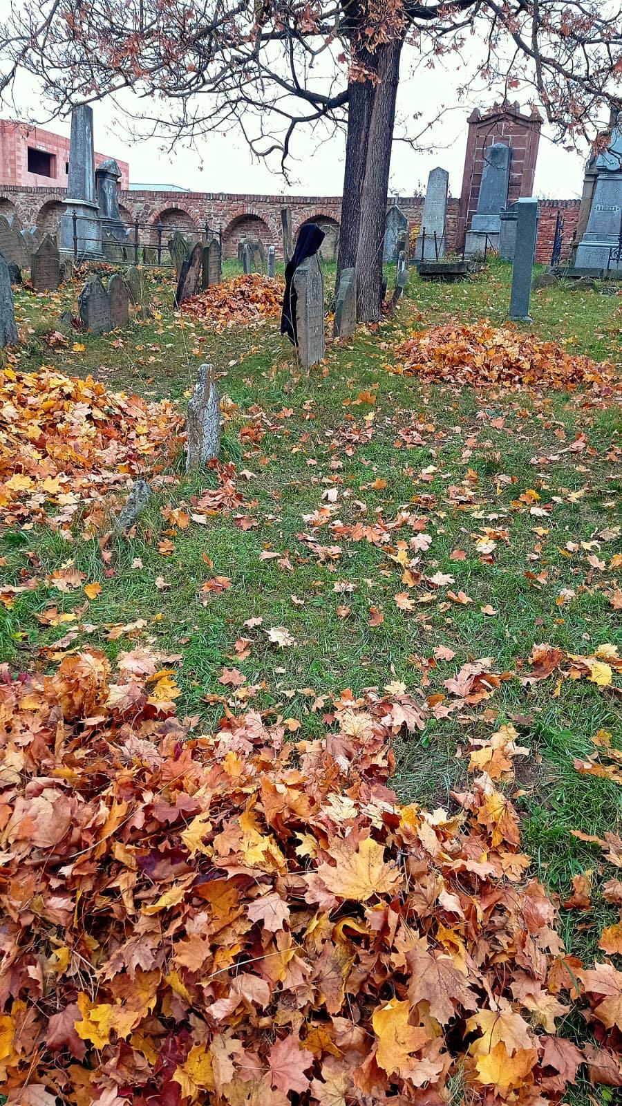[2025-11-01]_uklid_zidovskeho_hrbitova_0008