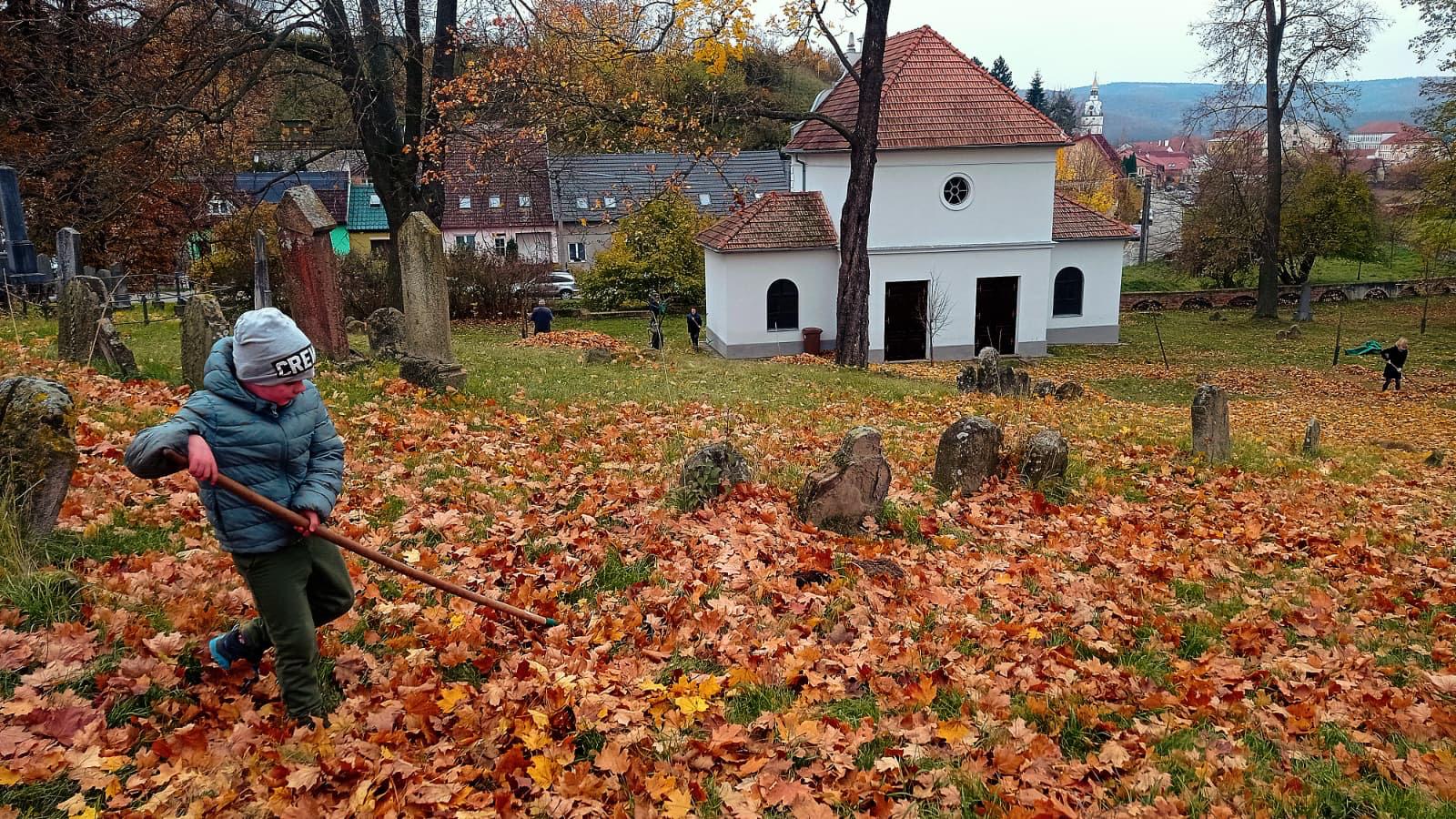 [2025-11-01]_uklid_zidovskeho_hrbitova_0009