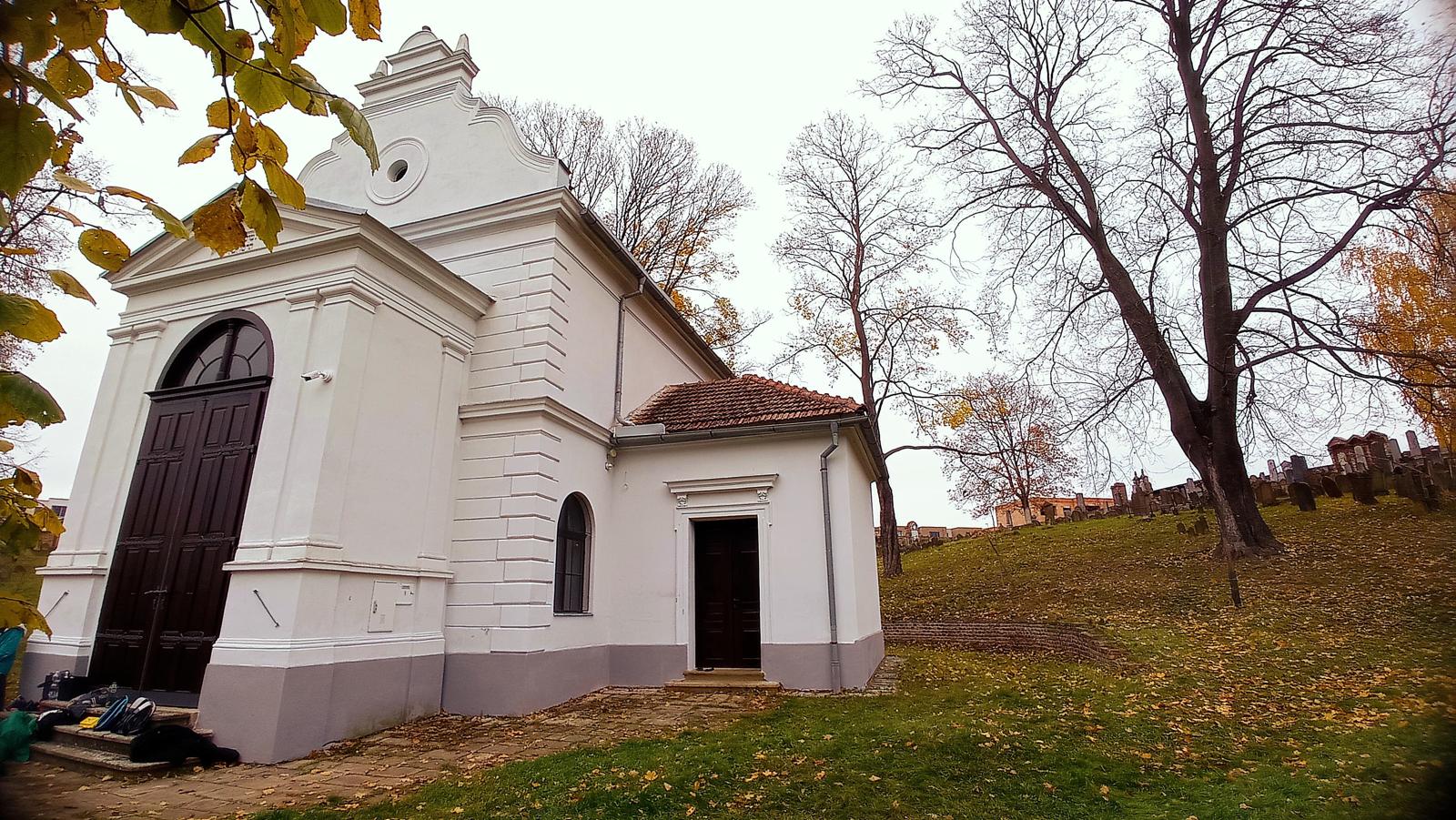 [2025-11-01]_uklid_zidovskeho_hrbitova_0020