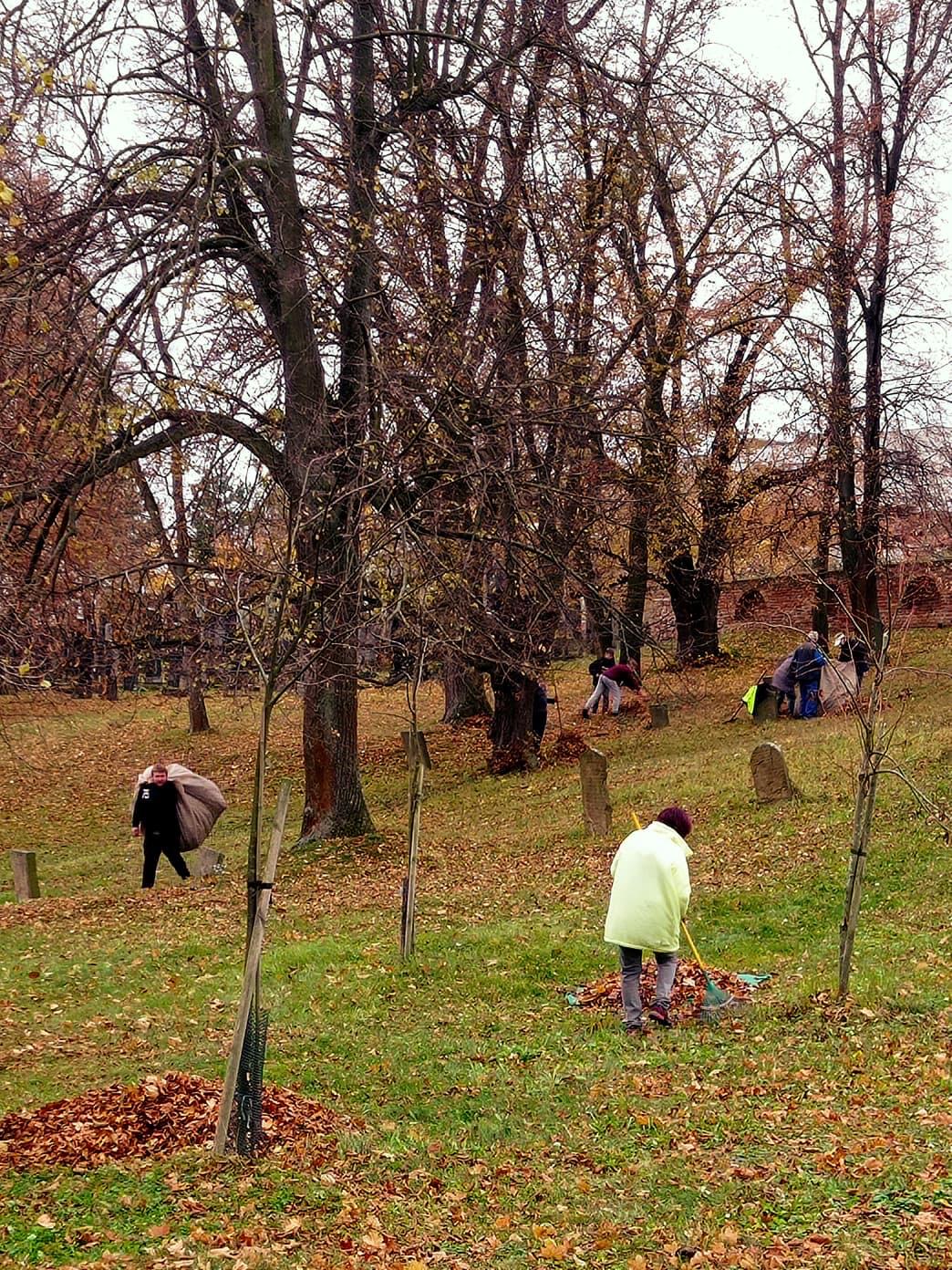 [2025-11-01]_uklid_zidovskeho_hrbitova_0021