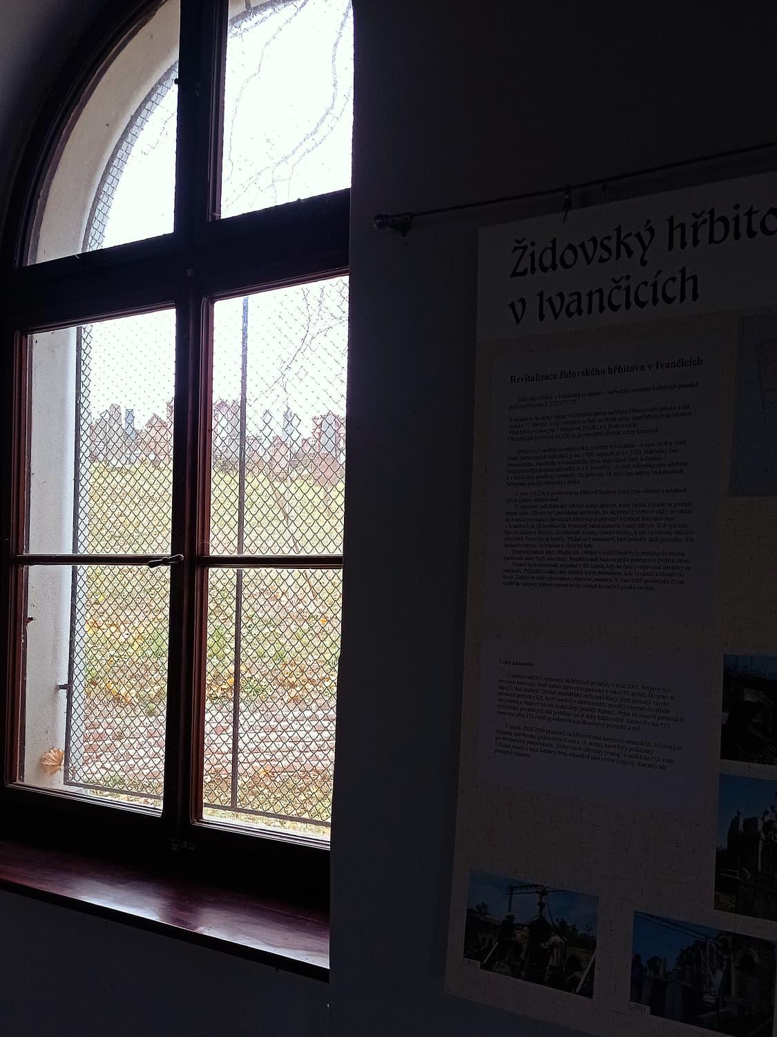 [2025-11-01]_uklid_zidovskeho_hrbitova_0034