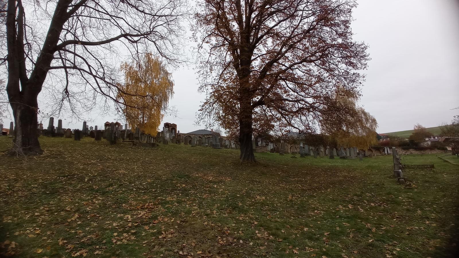 [2025-11-01]_uklid_zidovskeho_hrbitova_0036