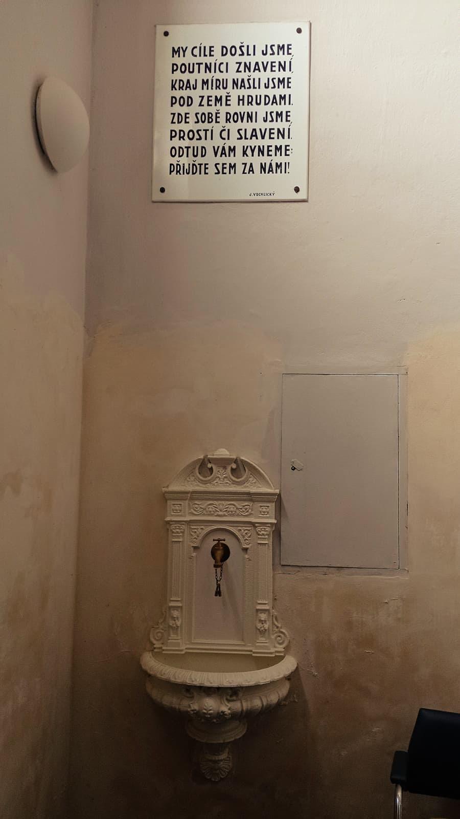 [2025-11-01]_uklid_zidovskeho_hrbitova_0038