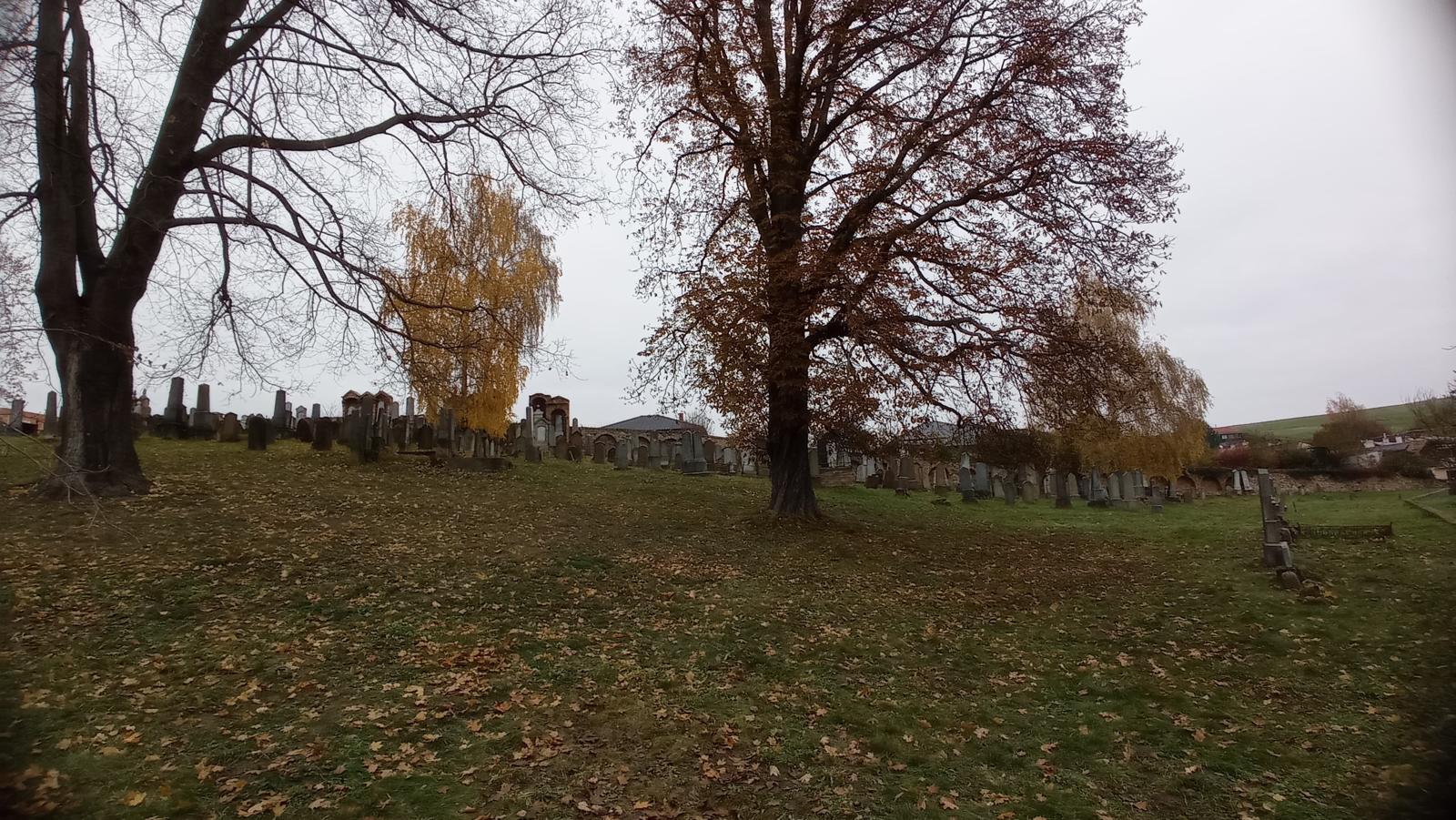 [2025-11-01]_uklid_zidovskeho_hrbitova_0041