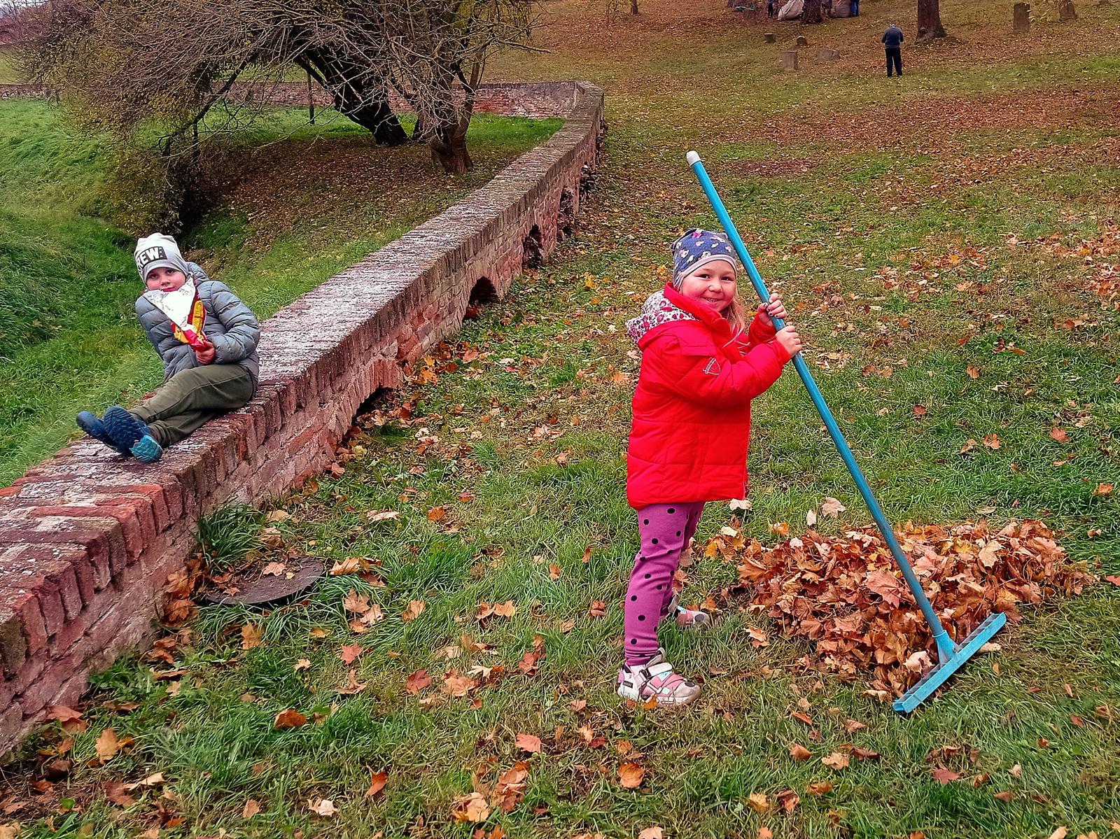 [2025-11-01]_uklid_zidovskeho_hrbitova_0046