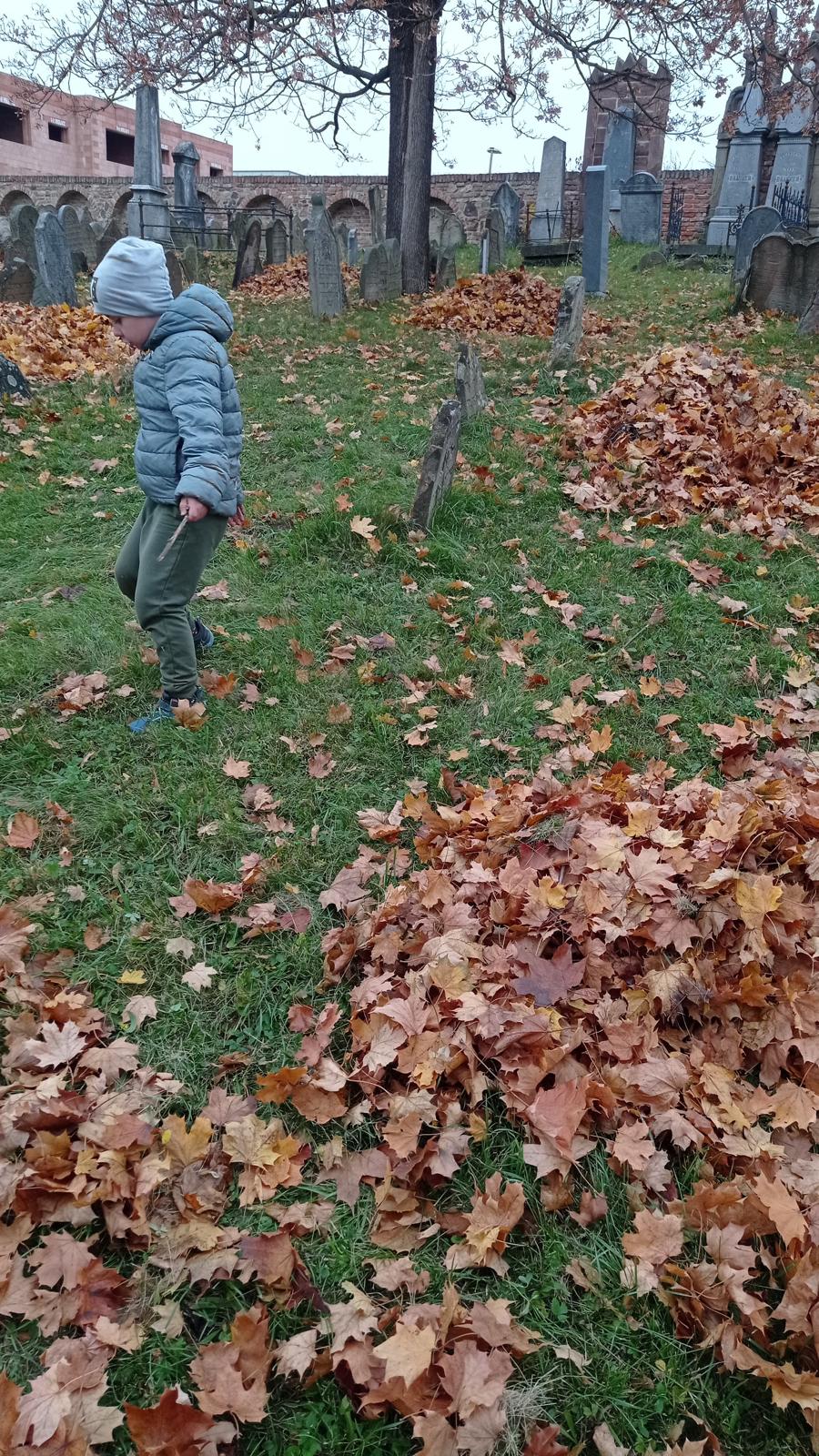 [2025-11-01]_uklid_zidovskeho_hrbitova_0048