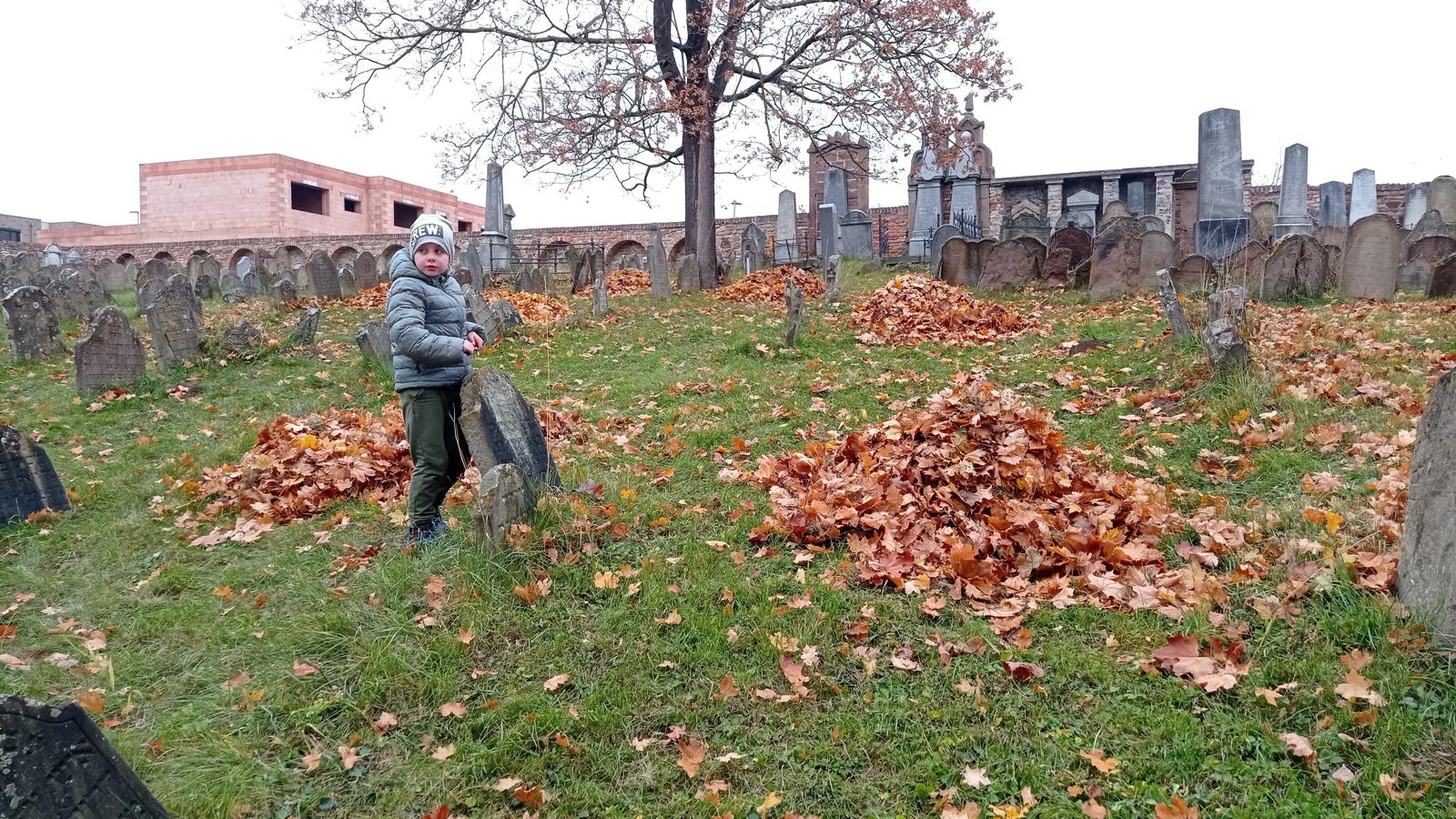 [2025-11-01]_uklid_zidovskeho_hrbitova_0049