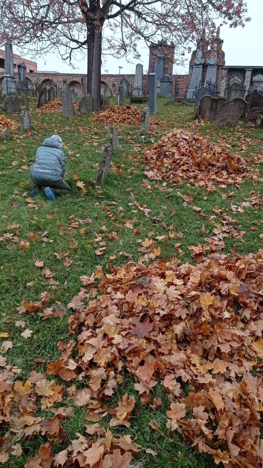 [2025-11-01]_uklid_zidovskeho_hrbitova_0050