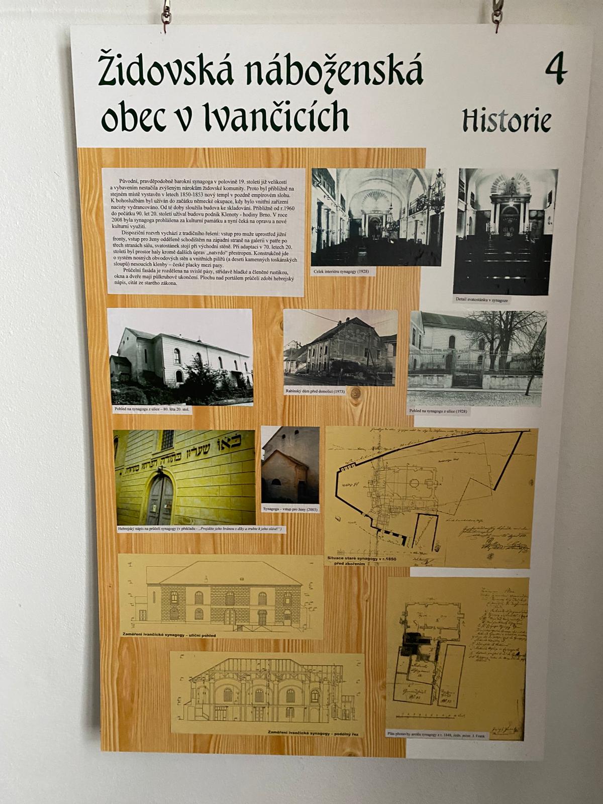 [2025-11-01]_uklid_zidovskeho_hrbitova_0056