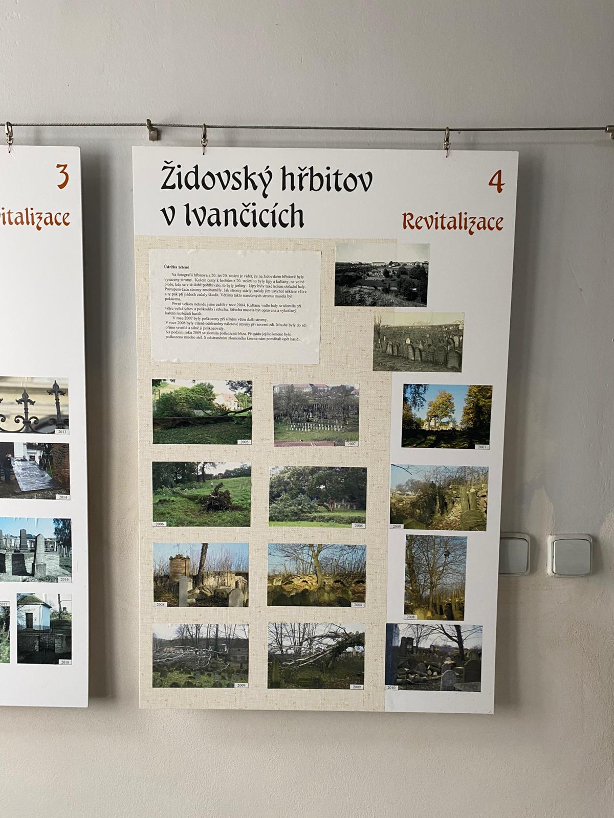 [2025-11-01]_uklid_zidovskeho_hrbitova_0060