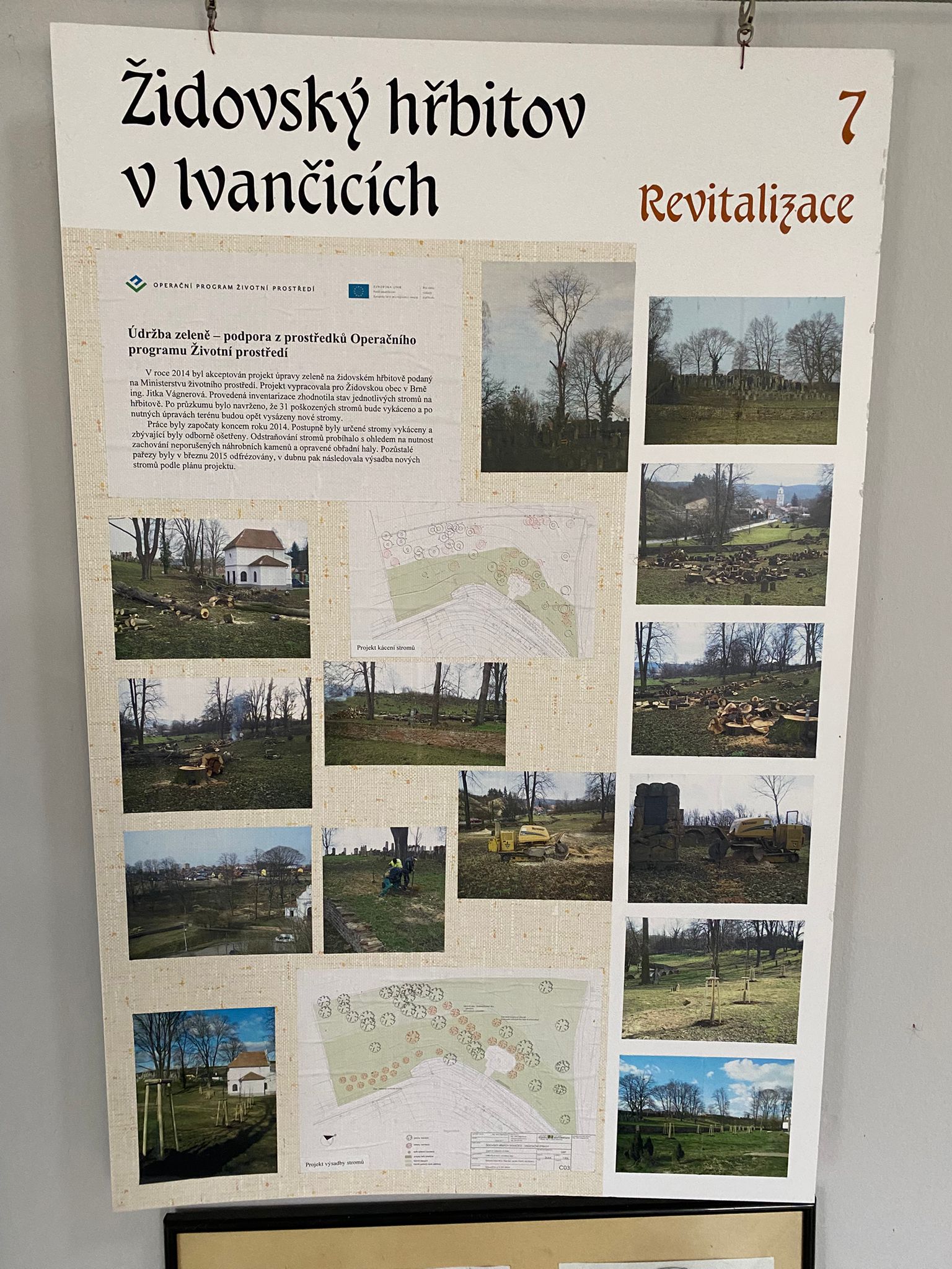 [2025-11-01]_uklid_zidovskeho_hrbitova_0070