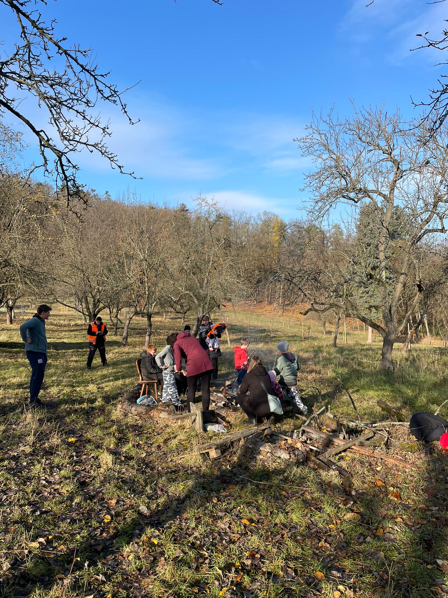 [2025-11-08]_sazeni_stromku_na_rene_0121