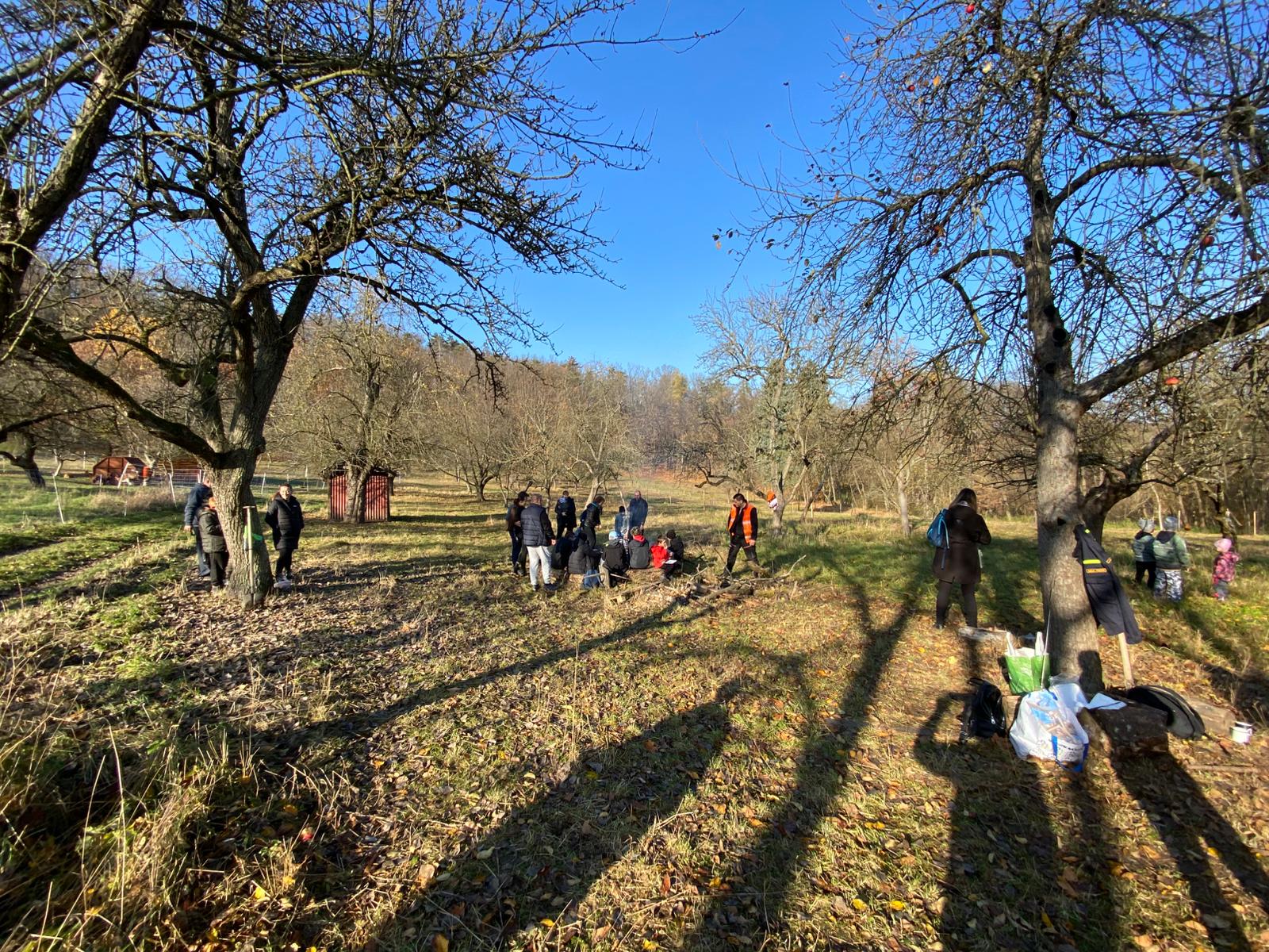 [2025-11-08]_sazeni_stromku_na_rene_0125