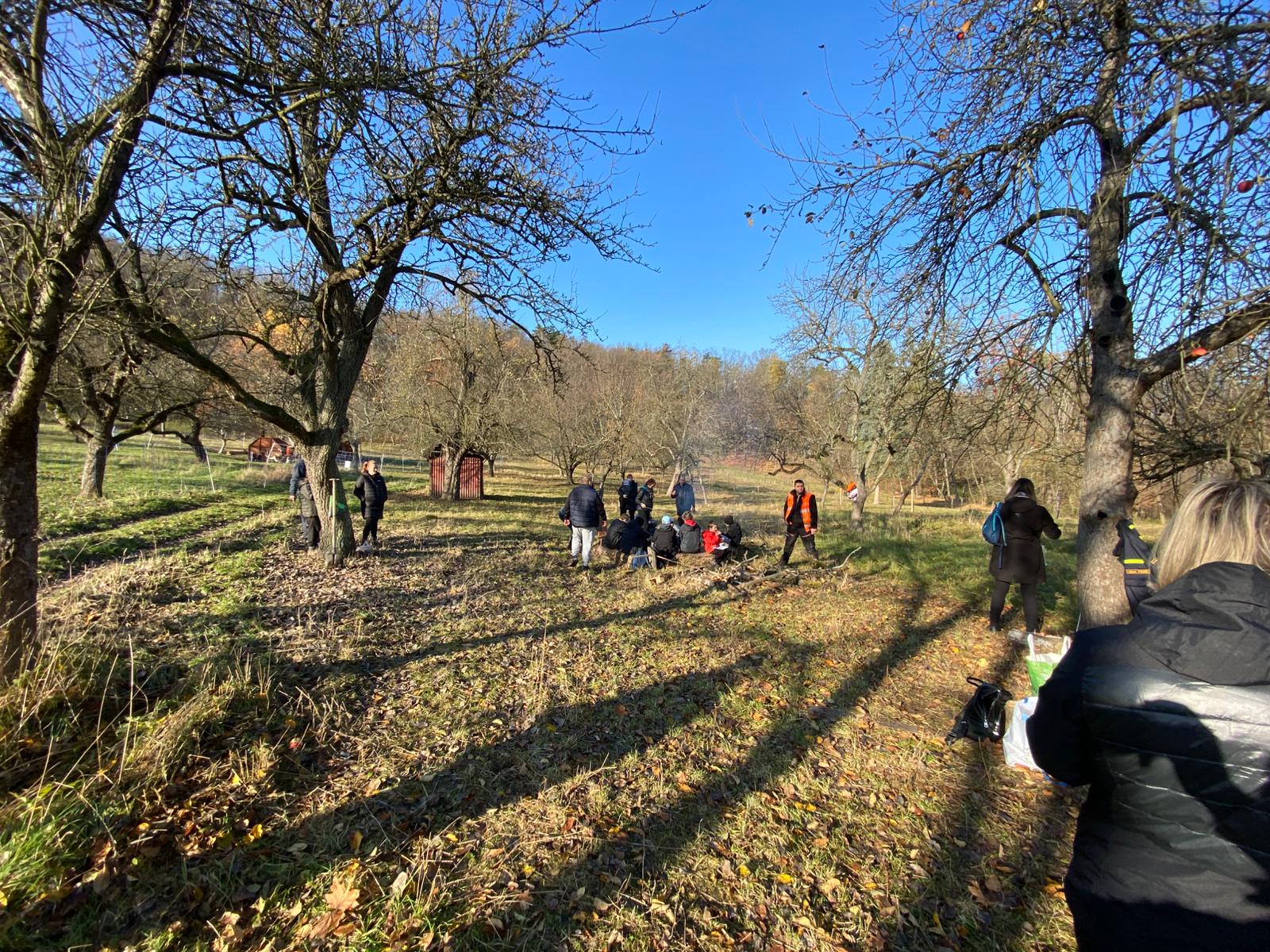 [2025-11-08]_sazeni_stromku_na_rene_0126