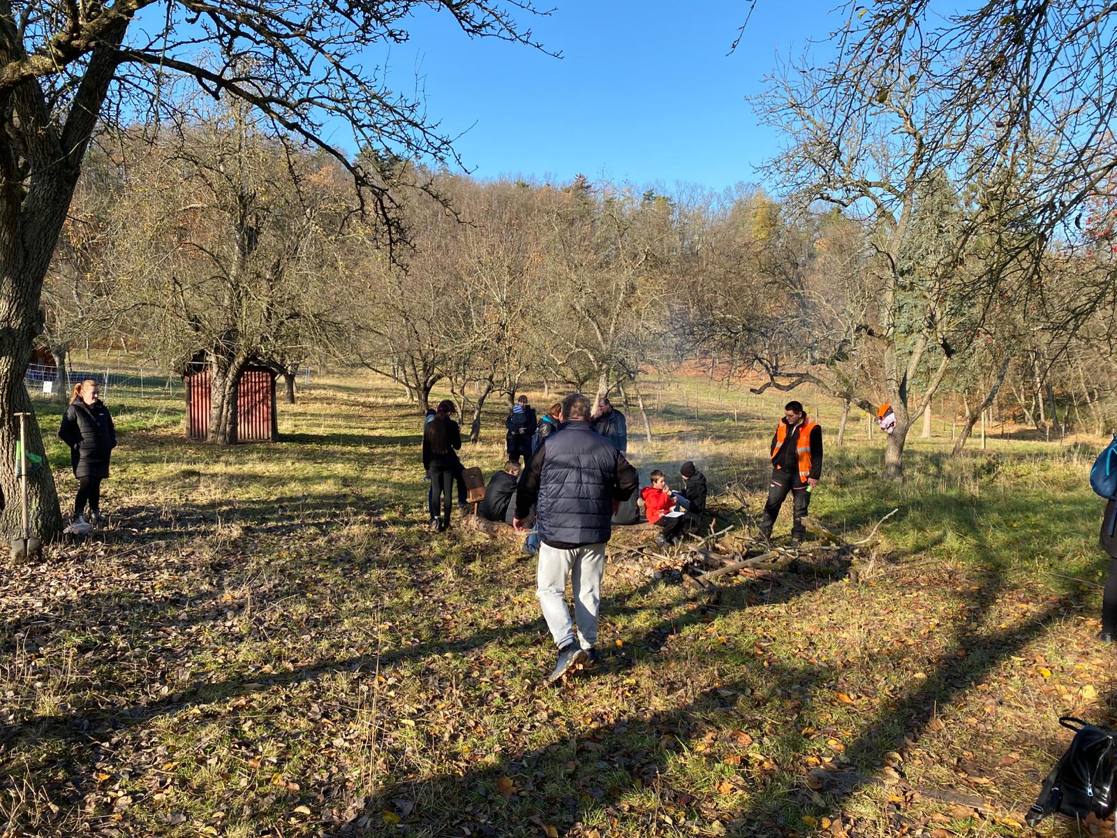 [2025-11-08]_sazeni_stromku_na_rene_0127