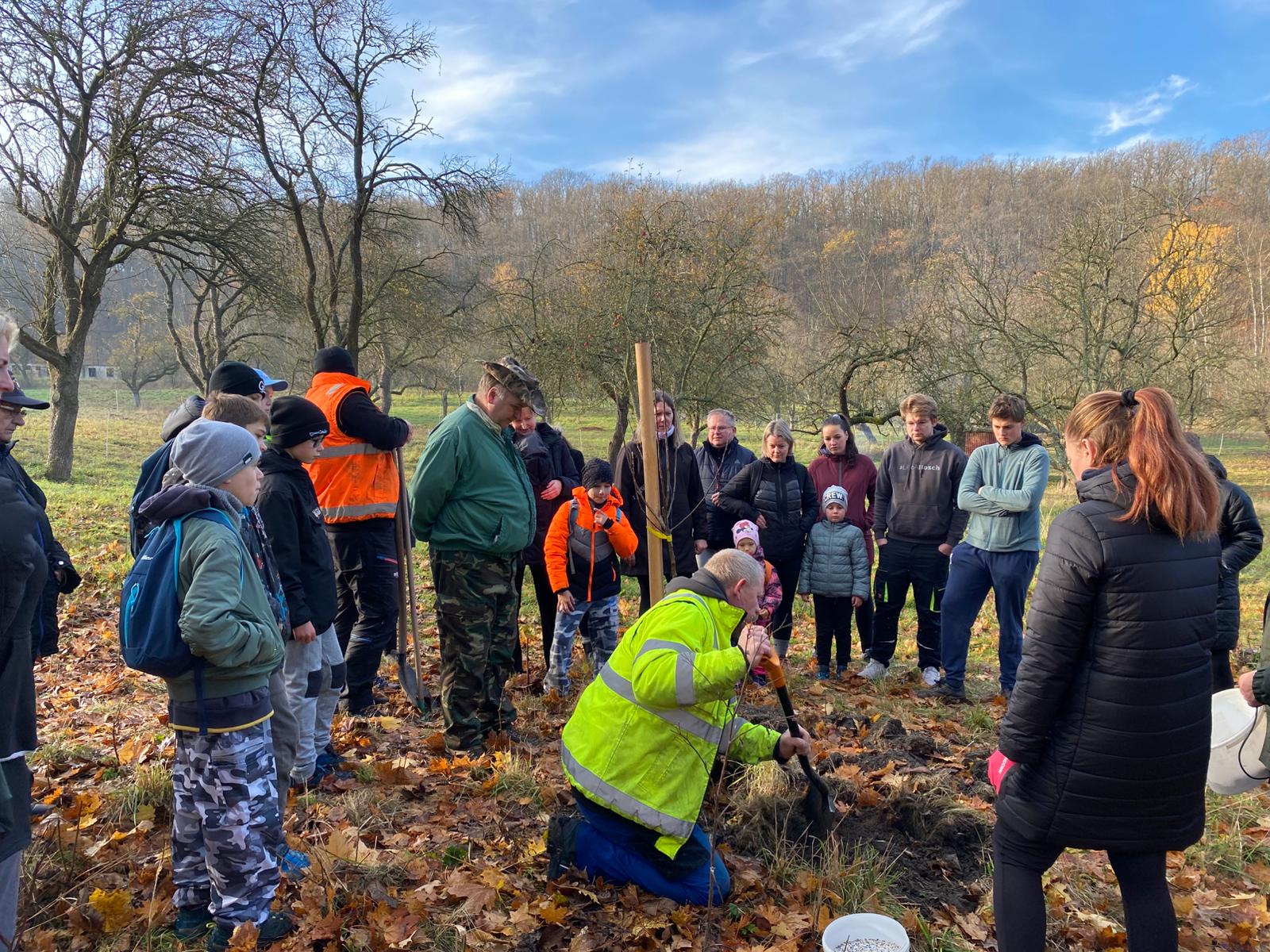 [2025-11-08]_sazeni_stromku_na_rene_0131