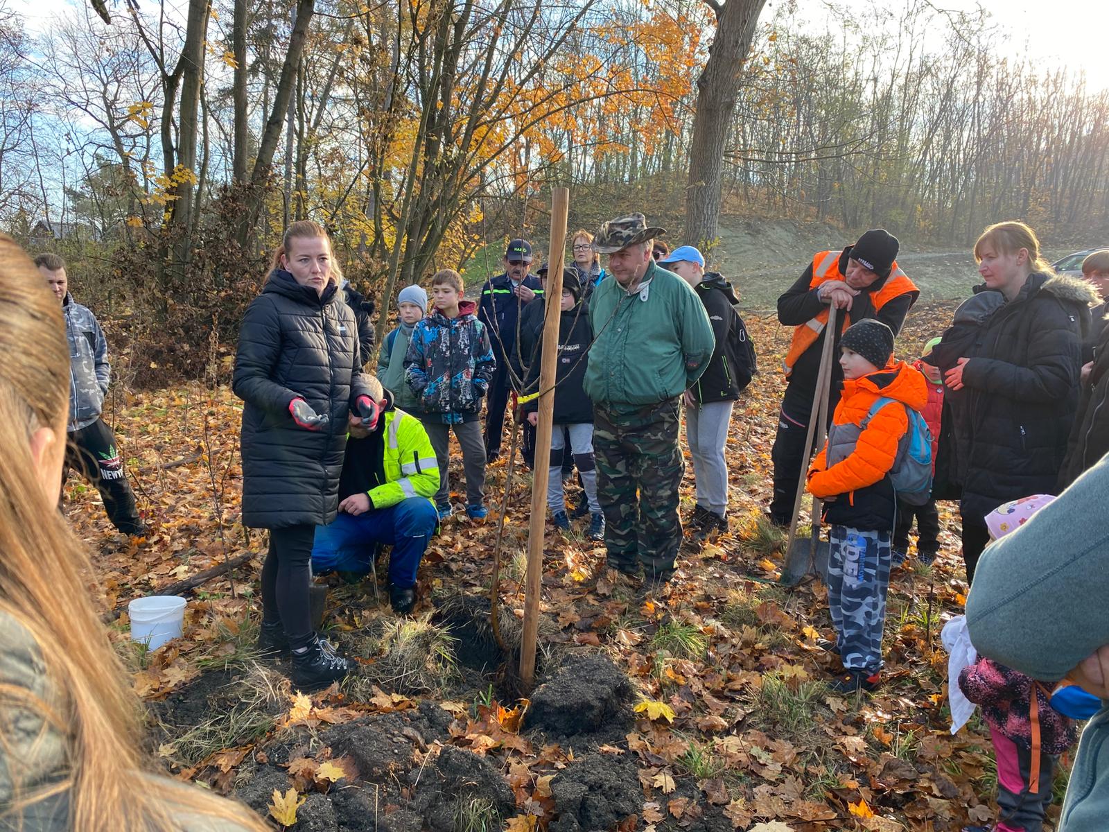 [2025-11-08]_sazeni_stromku_na_rene_0134