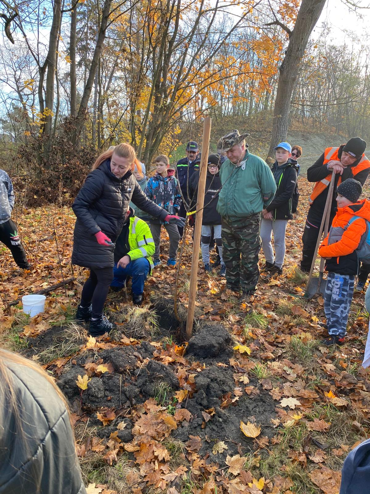 [2025-11-08]_sazeni_stromku_na_rene_0135