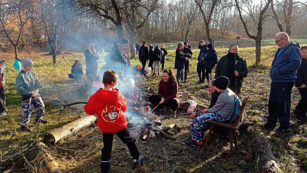 [2025-11-08]_sazeni_stromku_na_rene_0002