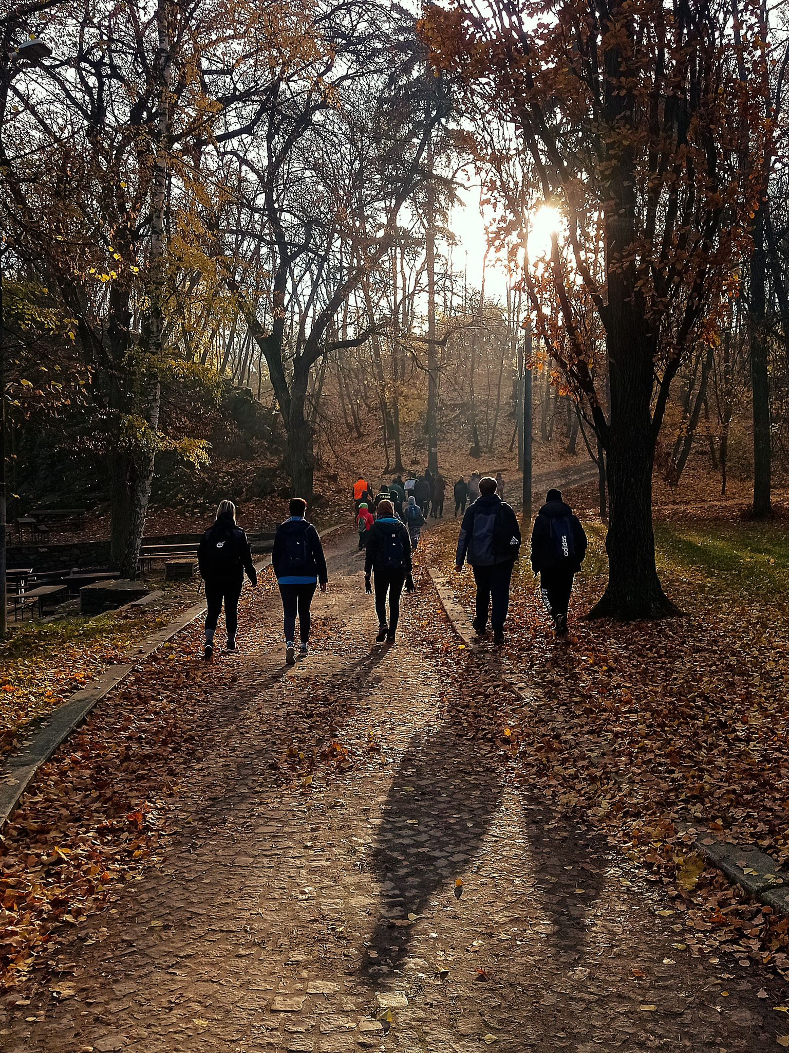 [2025-11-08]_sazeni_stromku_na_rene_0004