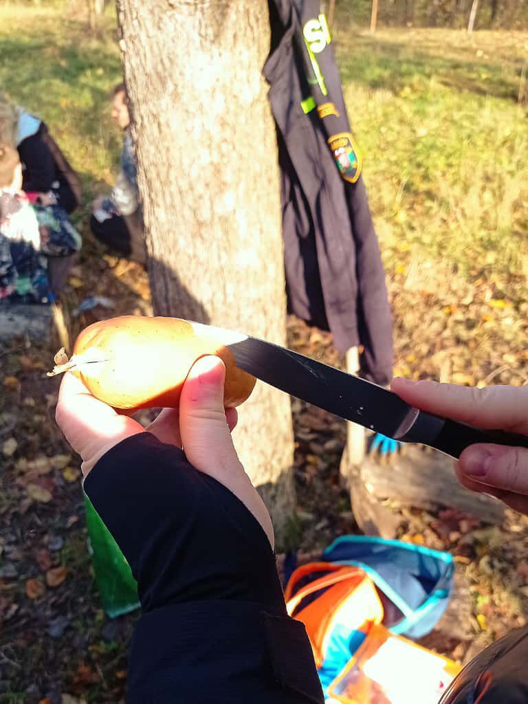 [2025-11-08]_sazeni_stromku_na_rene_0005