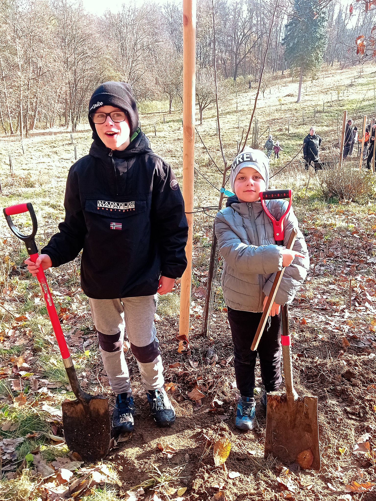 [2025-11-08]_sazeni_stromku_na_rene_0007