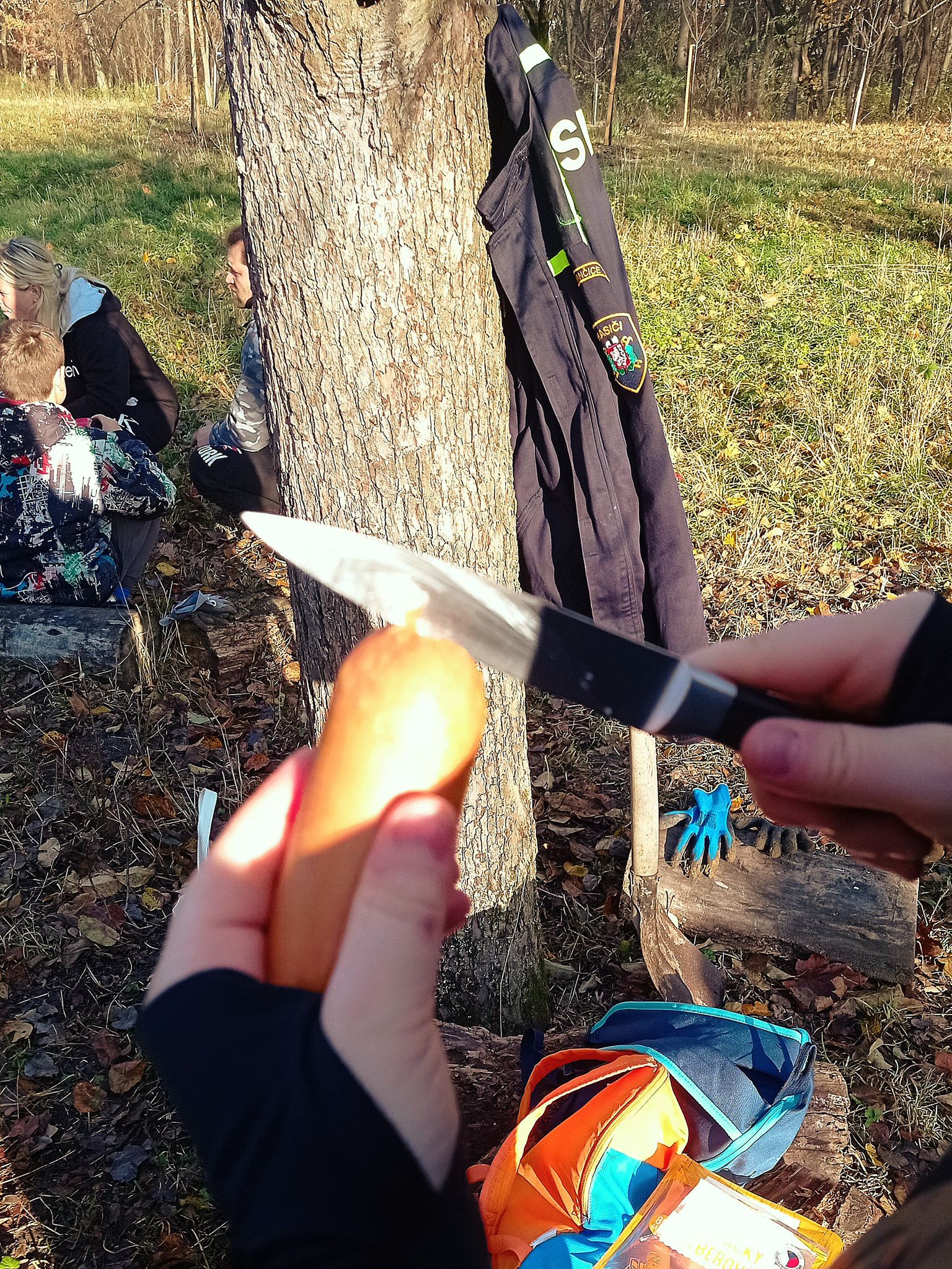 [2025-11-08]_sazeni_stromku_na_rene_0009