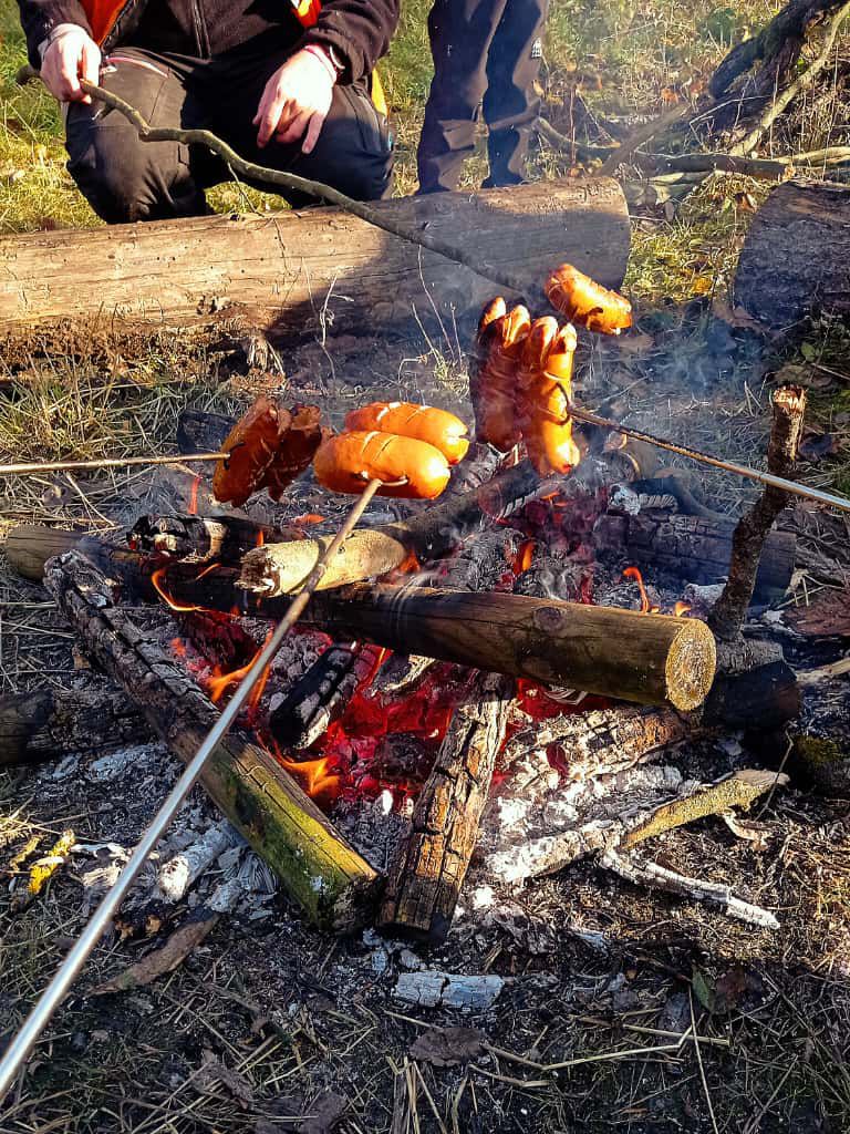 [2025-11-08]_sazeni_stromku_na_rene_0010