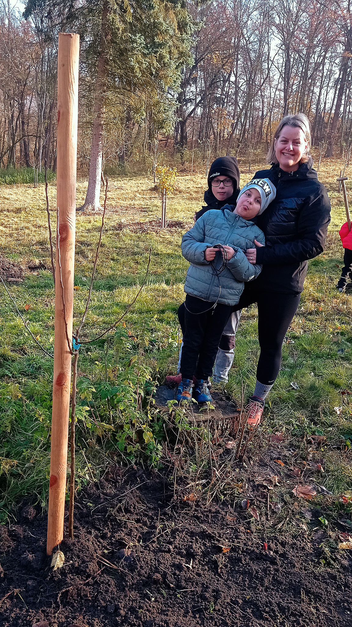 [2025-11-08]_sazeni_stromku_na_rene_0012