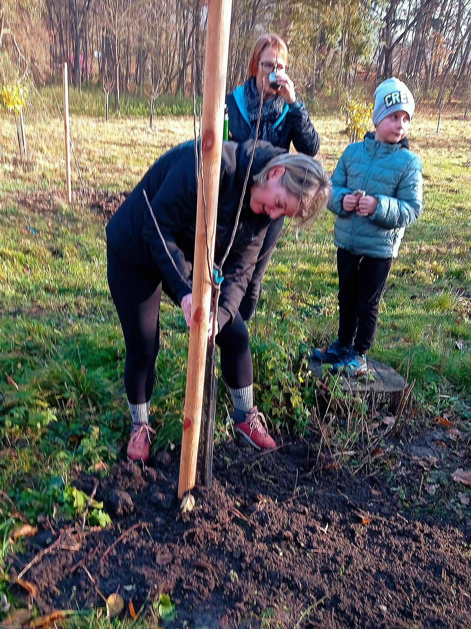 [2025-11-08]_sazeni_stromku_na_rene_0013