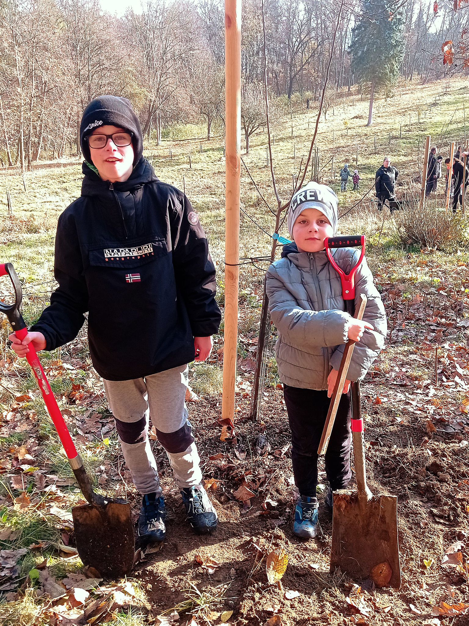 [2025-11-08]_sazeni_stromku_na_rene_0015