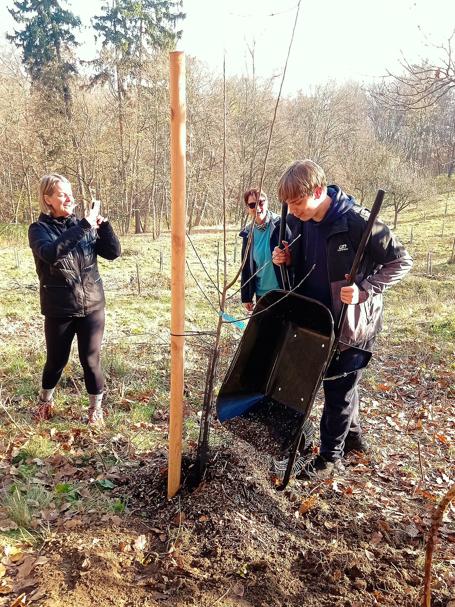 [2025-11-08]_sazeni_stromku_na_rene_0018