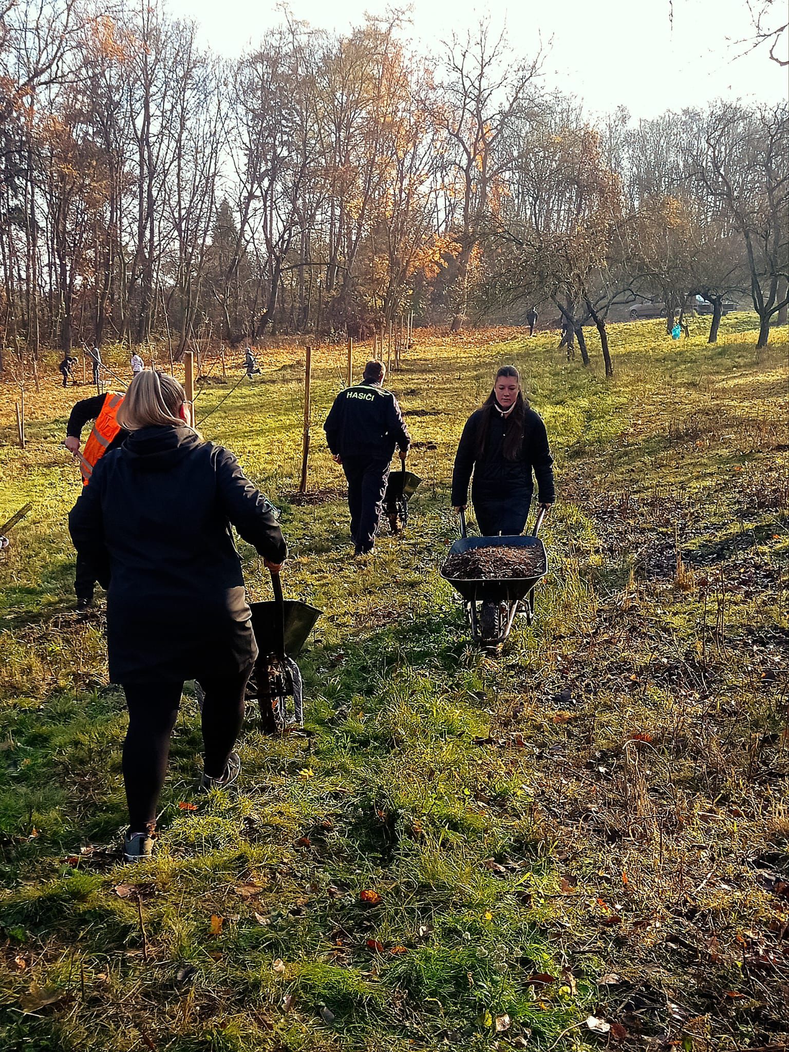 [2025-11-08]_sazeni_stromku_na_rene_0020