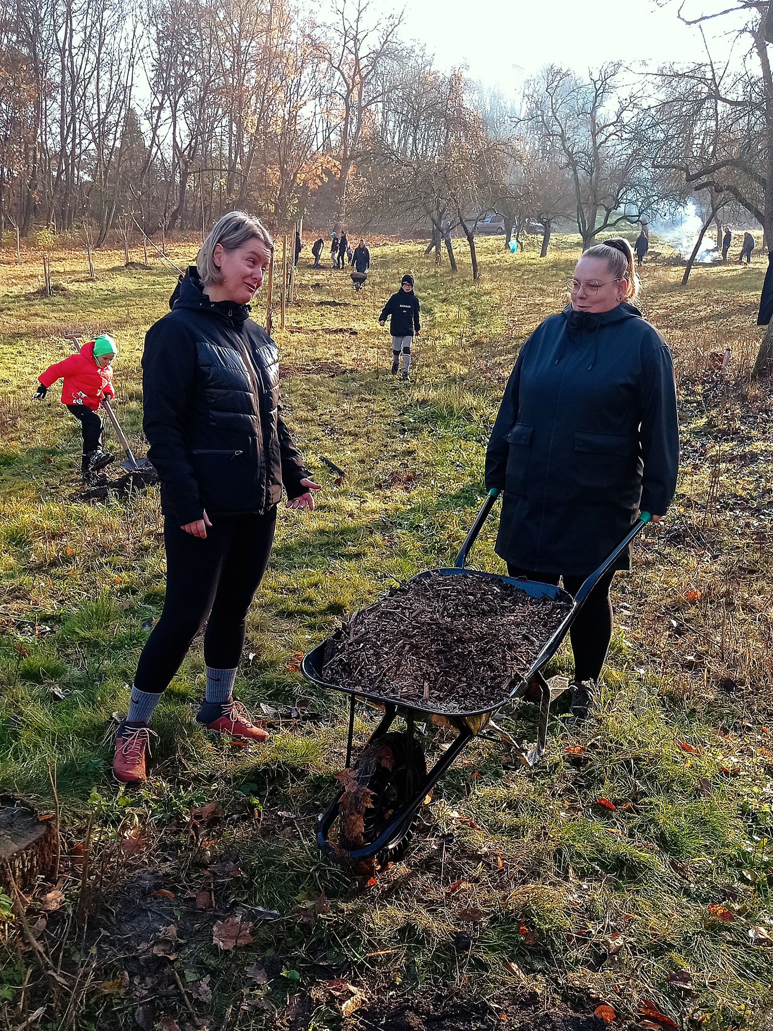 [2025-11-08]_sazeni_stromku_na_rene_0024