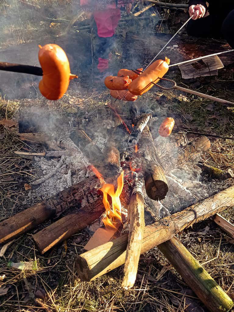 [2025-11-08]_sazeni_stromku_na_rene_0032