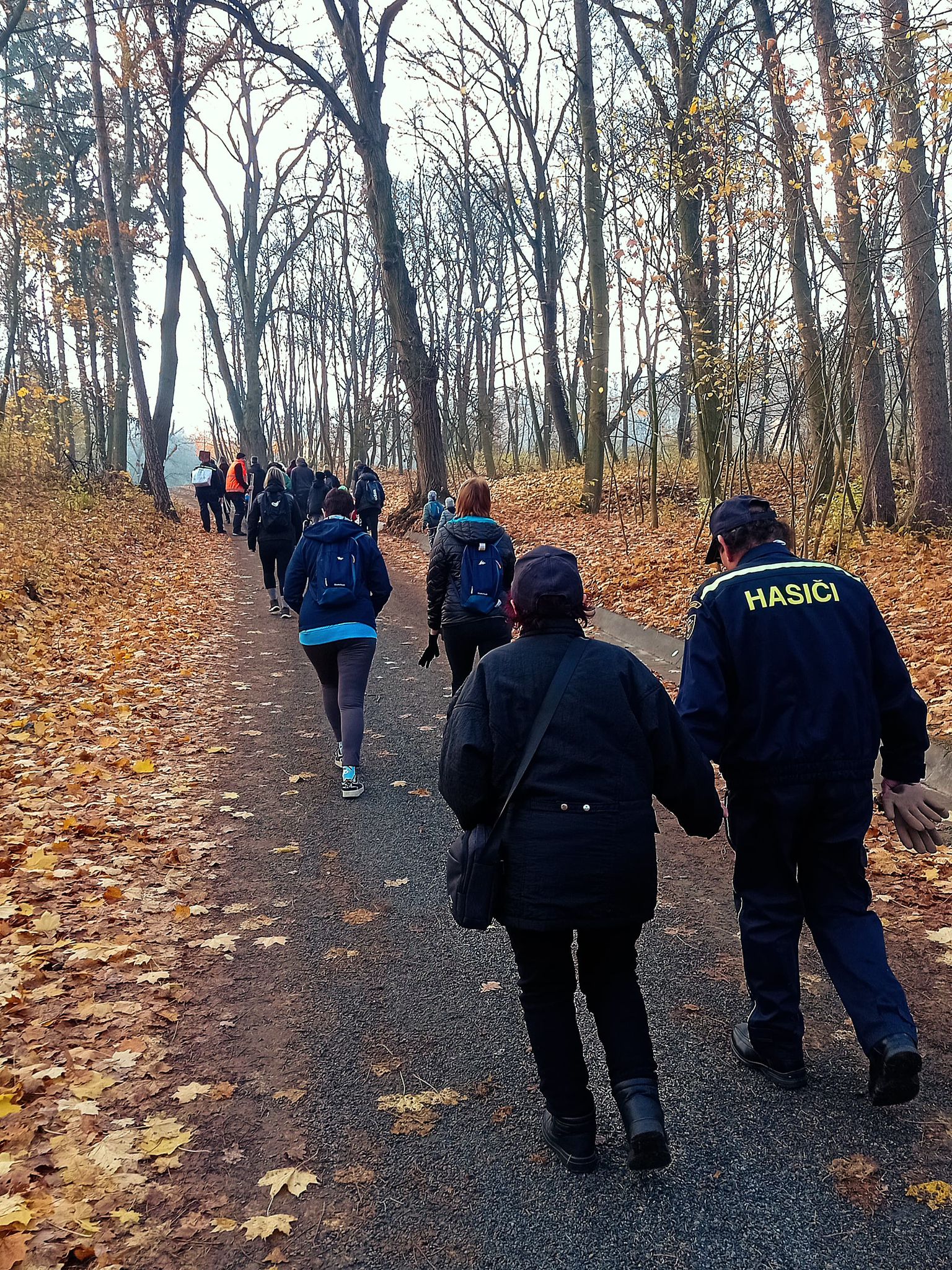 [2025-11-08]_sazeni_stromku_na_rene_0033