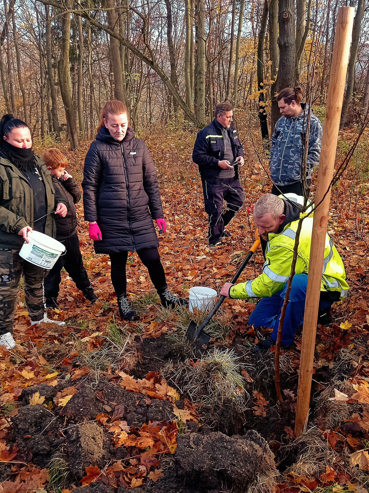 [2025-11-08]_sazeni_stromku_na_rene_0034