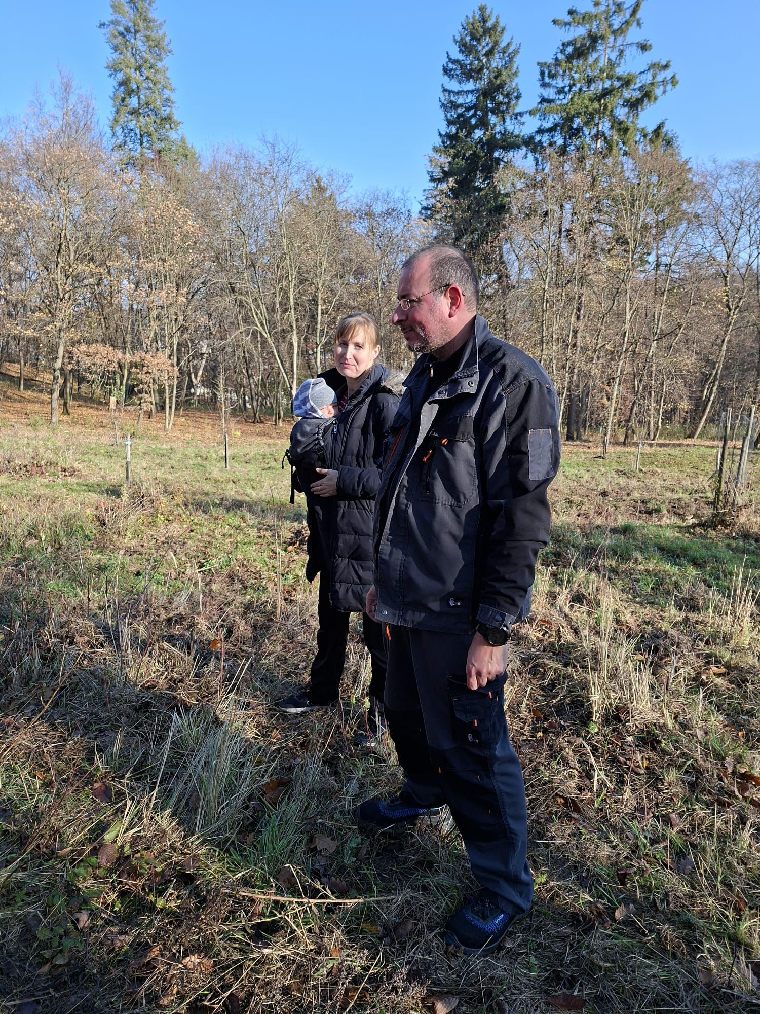 [2025-11-08]_sazeni_stromku_na_rene_0039