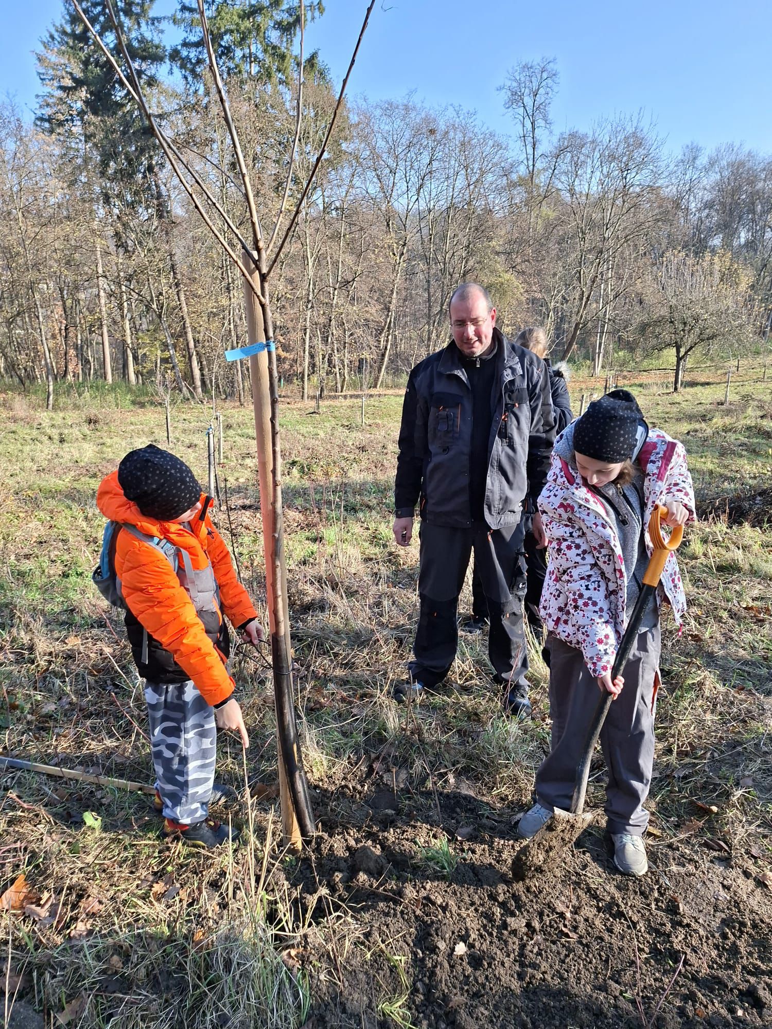 [2025-11-08]_sazeni_stromku_na_rene_0041