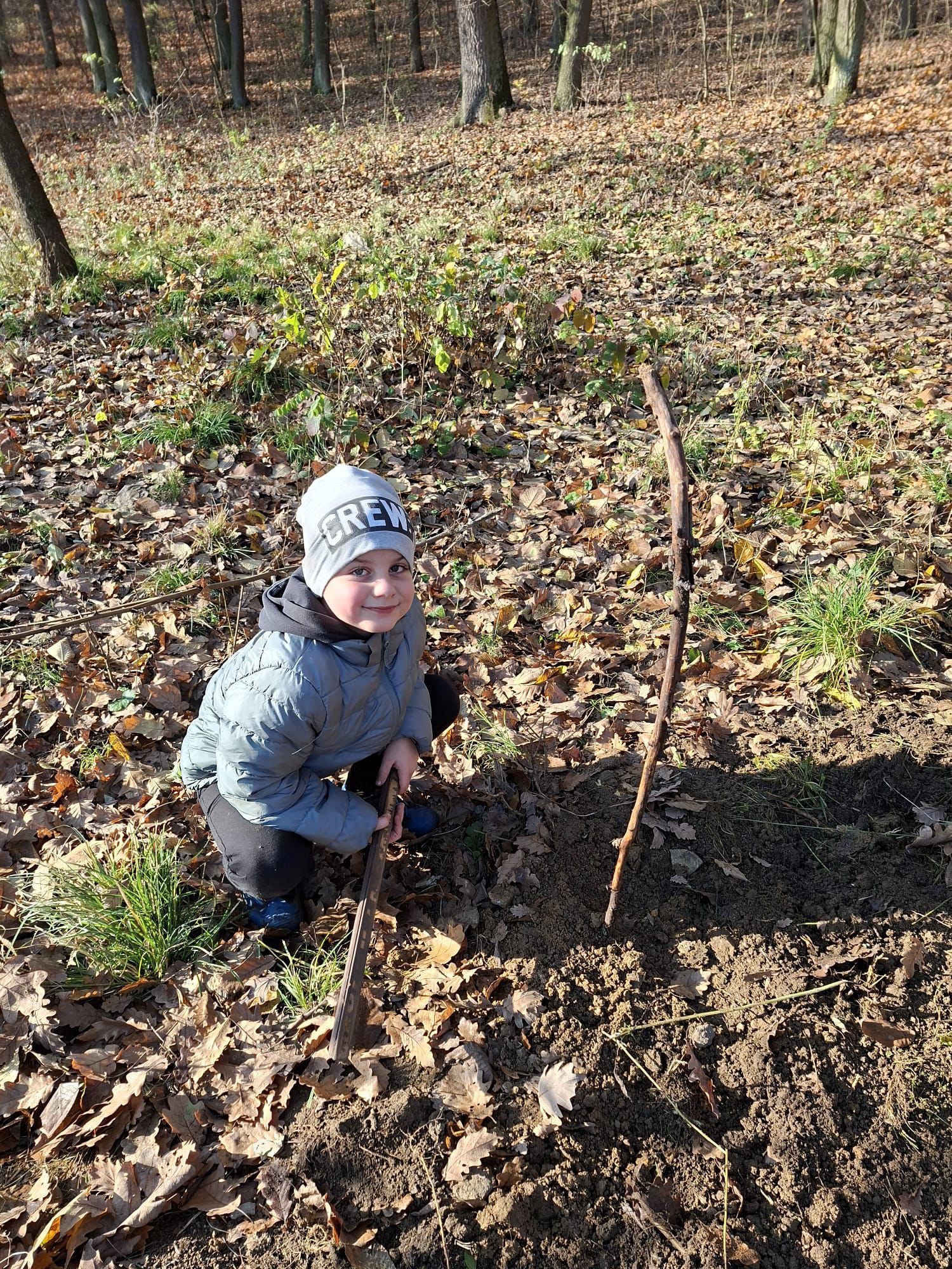 [2025-11-08]_sazeni_stromku_na_rene_0043