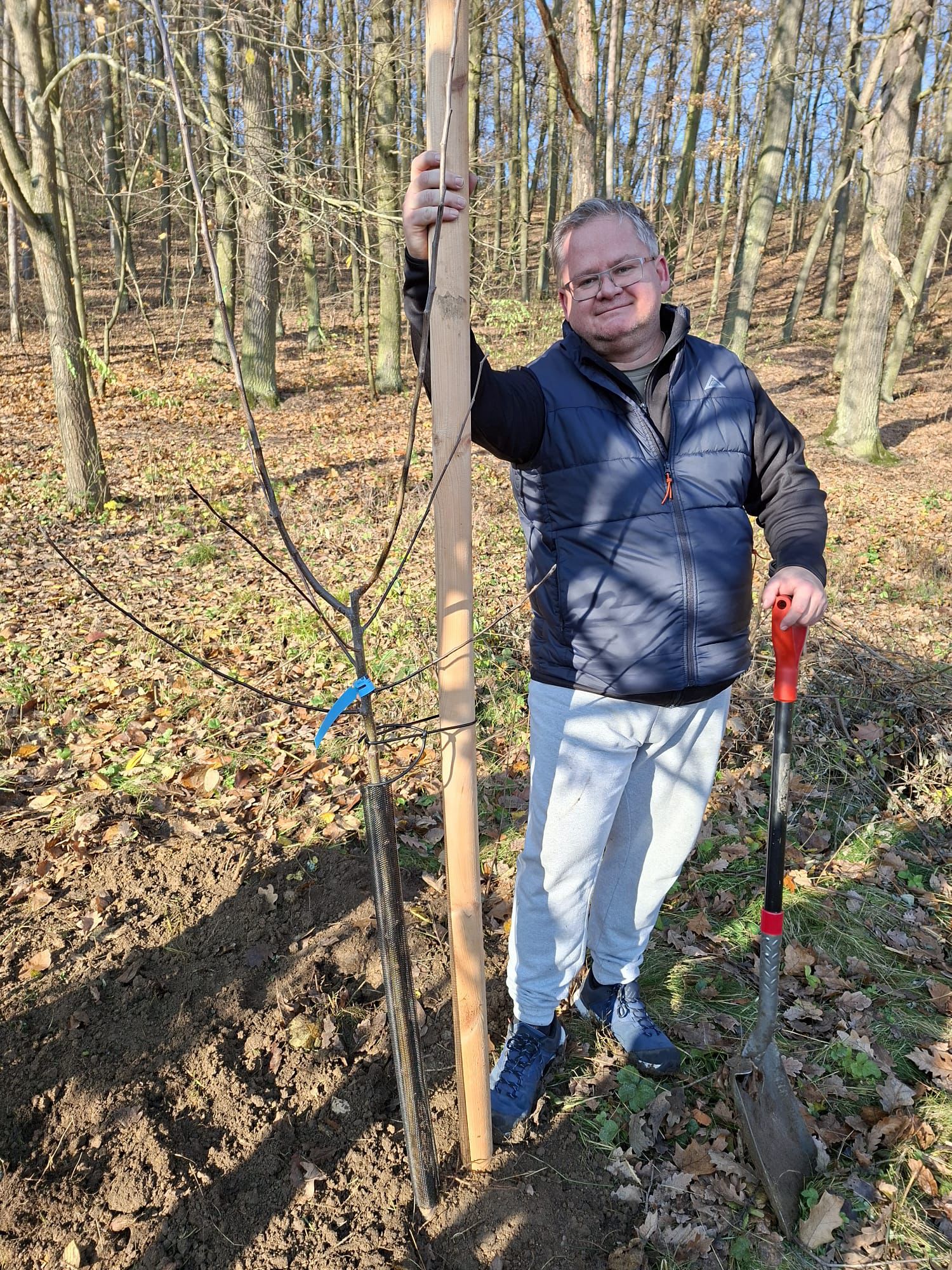 [2025-11-08]_sazeni_stromku_na_rene_0049