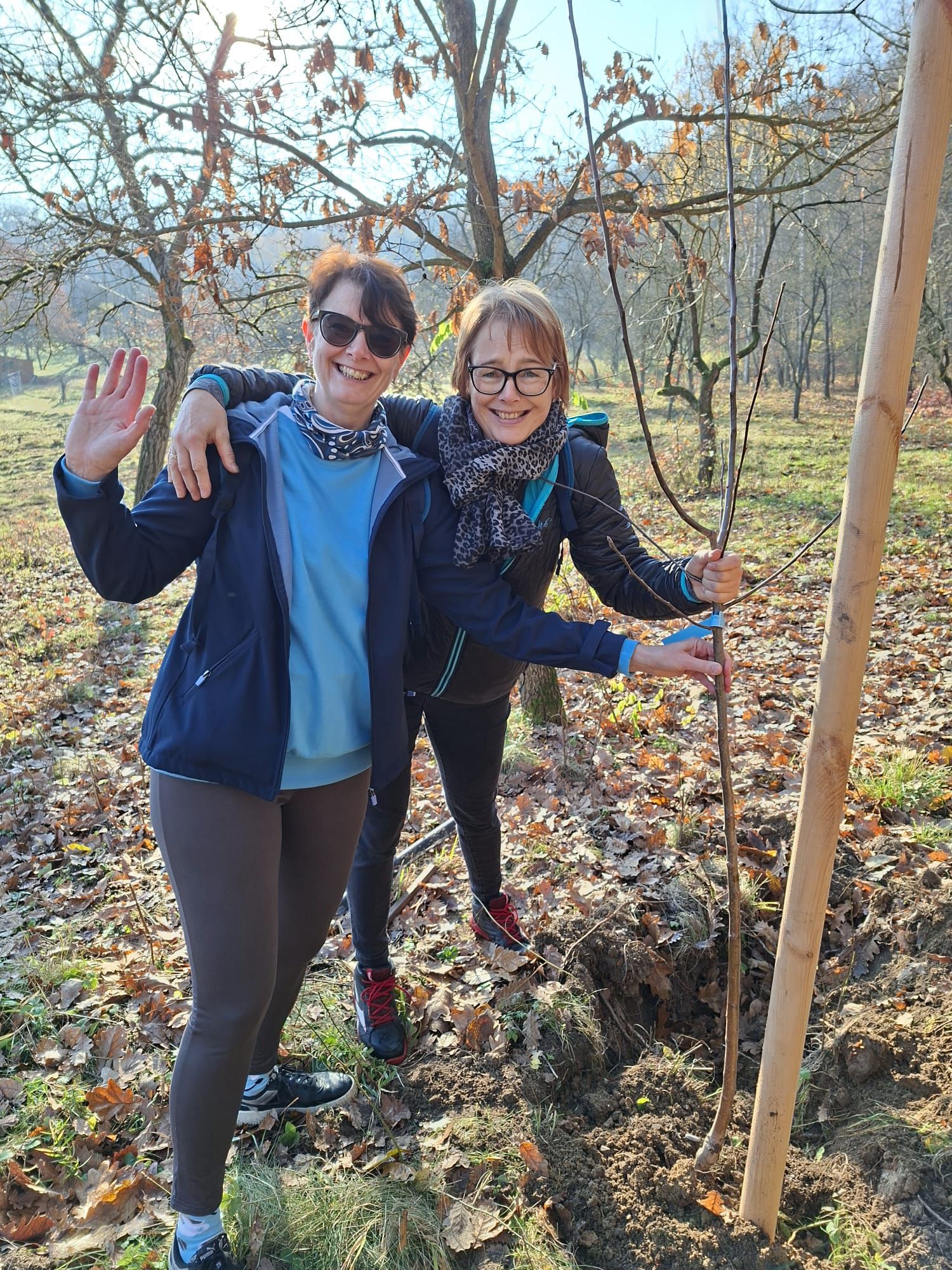 [2025-11-08]_sazeni_stromku_na_rene_0050