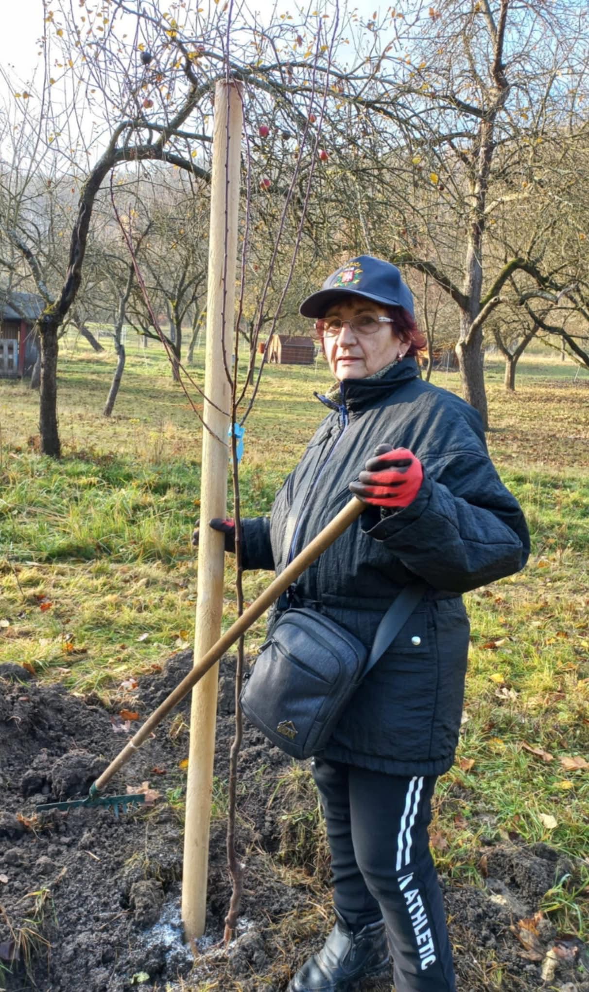 [2025-11-08]_sazeni_stromku_na_rene_0052