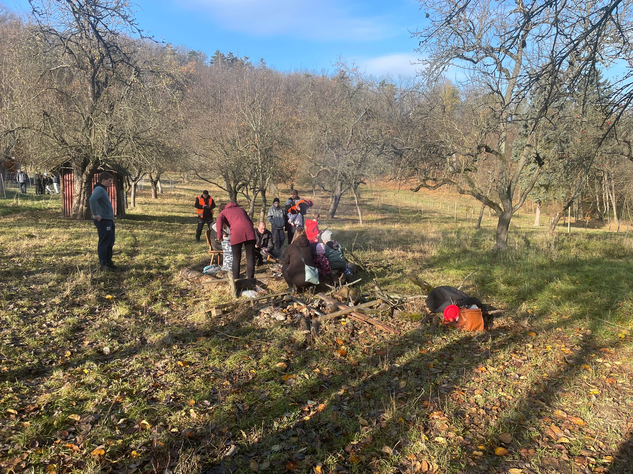 [2025-11-08]_sazeni_stromku_na_rene_0076