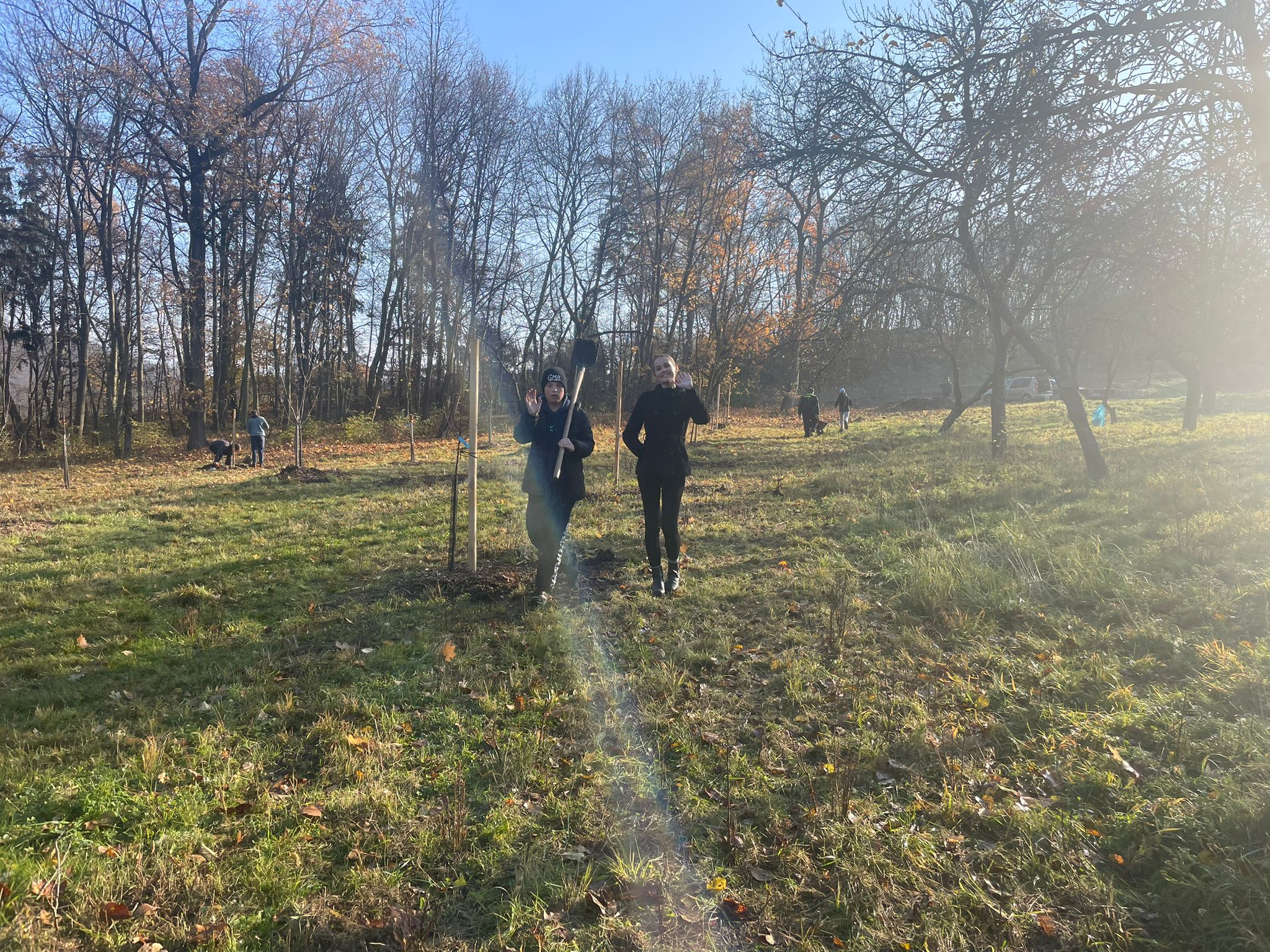 [2025-11-08]_sazeni_stromku_na_rene_0081